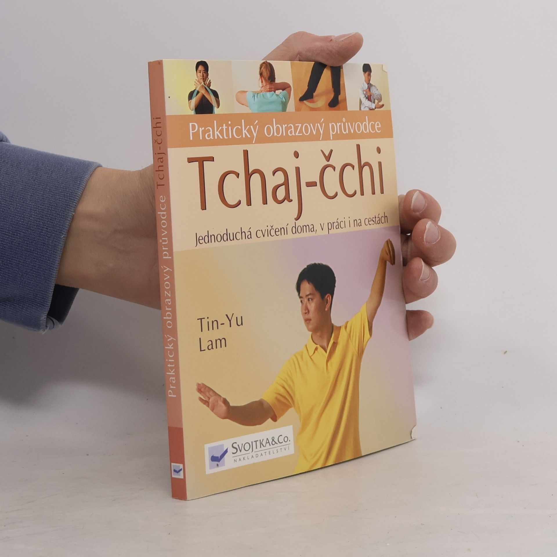 Tin Yu Lam Tchaj čchi - praktický obrazový průvodce