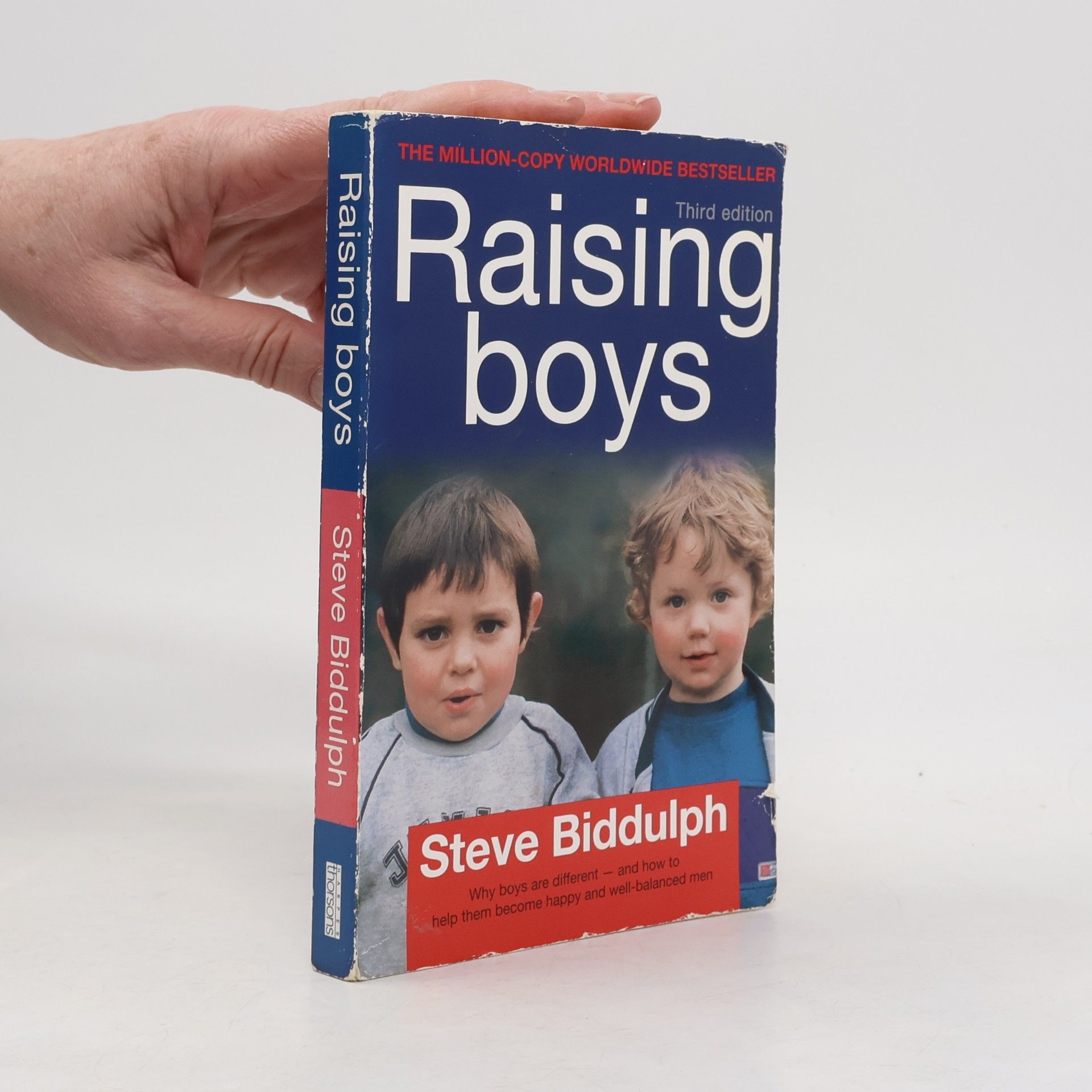Steve Biddulph Raising boys
