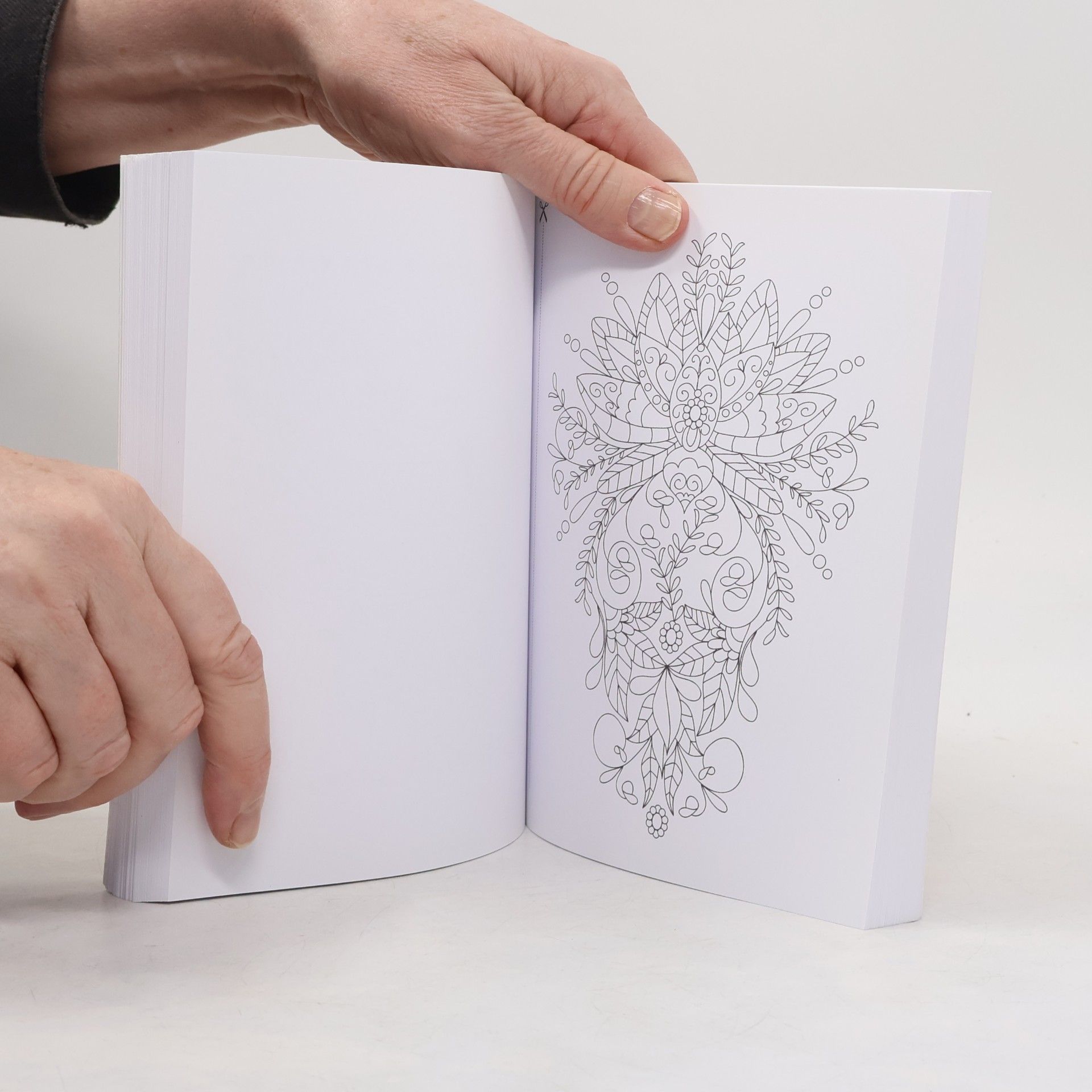 Collectif d'auteurs Zápisník - Omalovánky pro kreativitu
