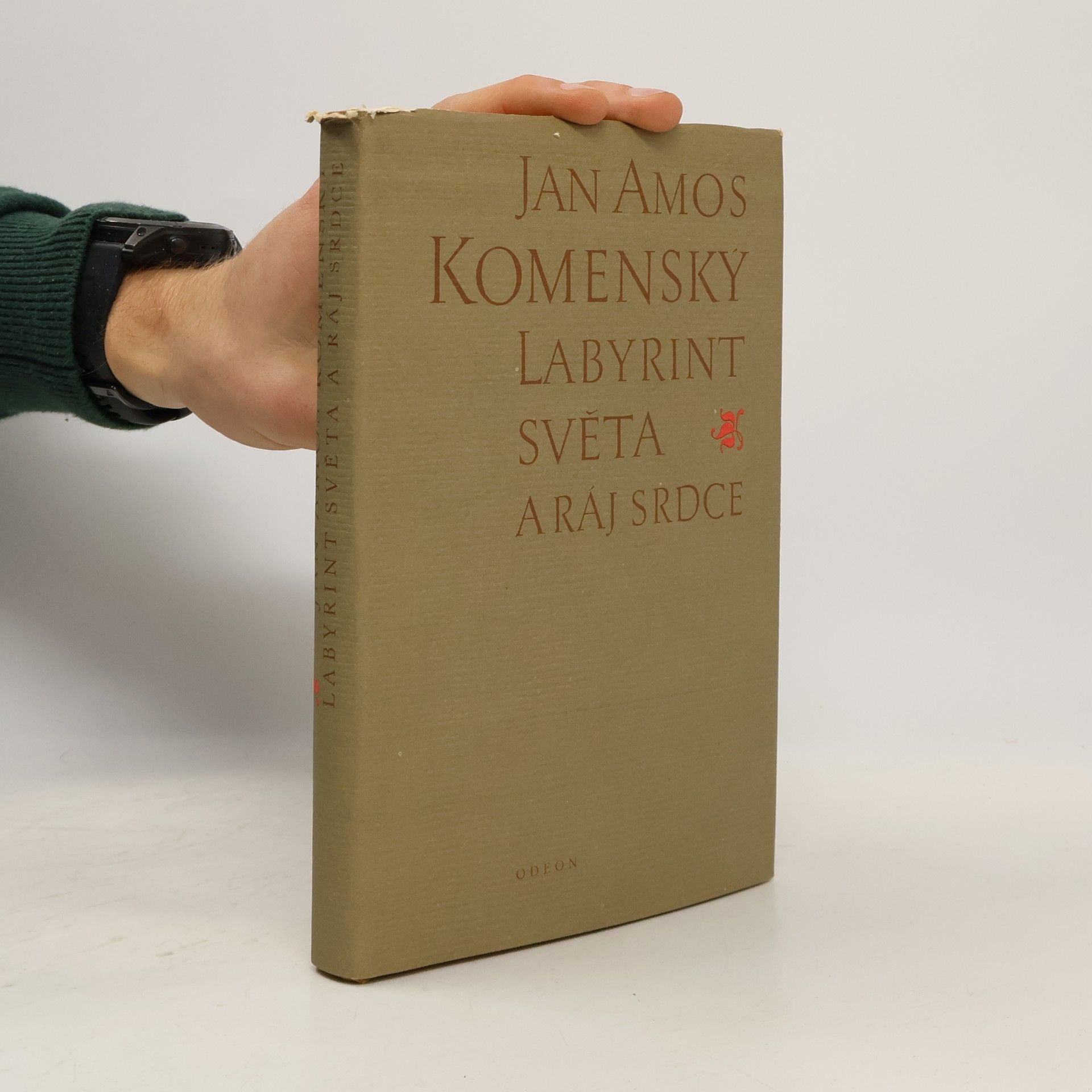 Jan Amos Komenský Labyrint světa a ráj srdce