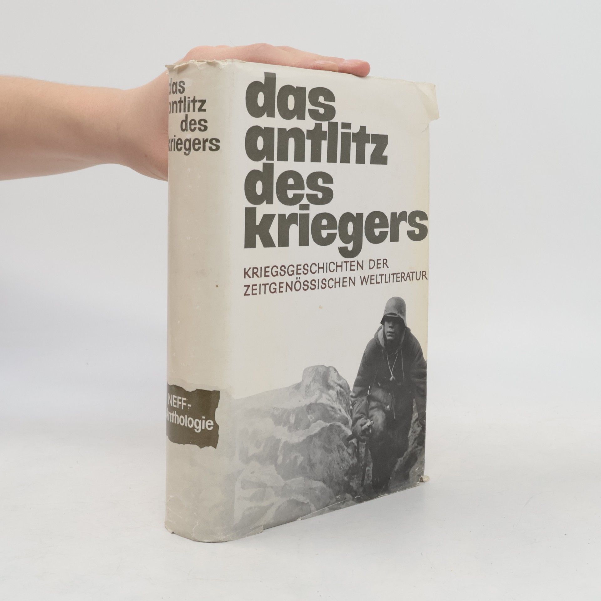 das antlitz des kriegers