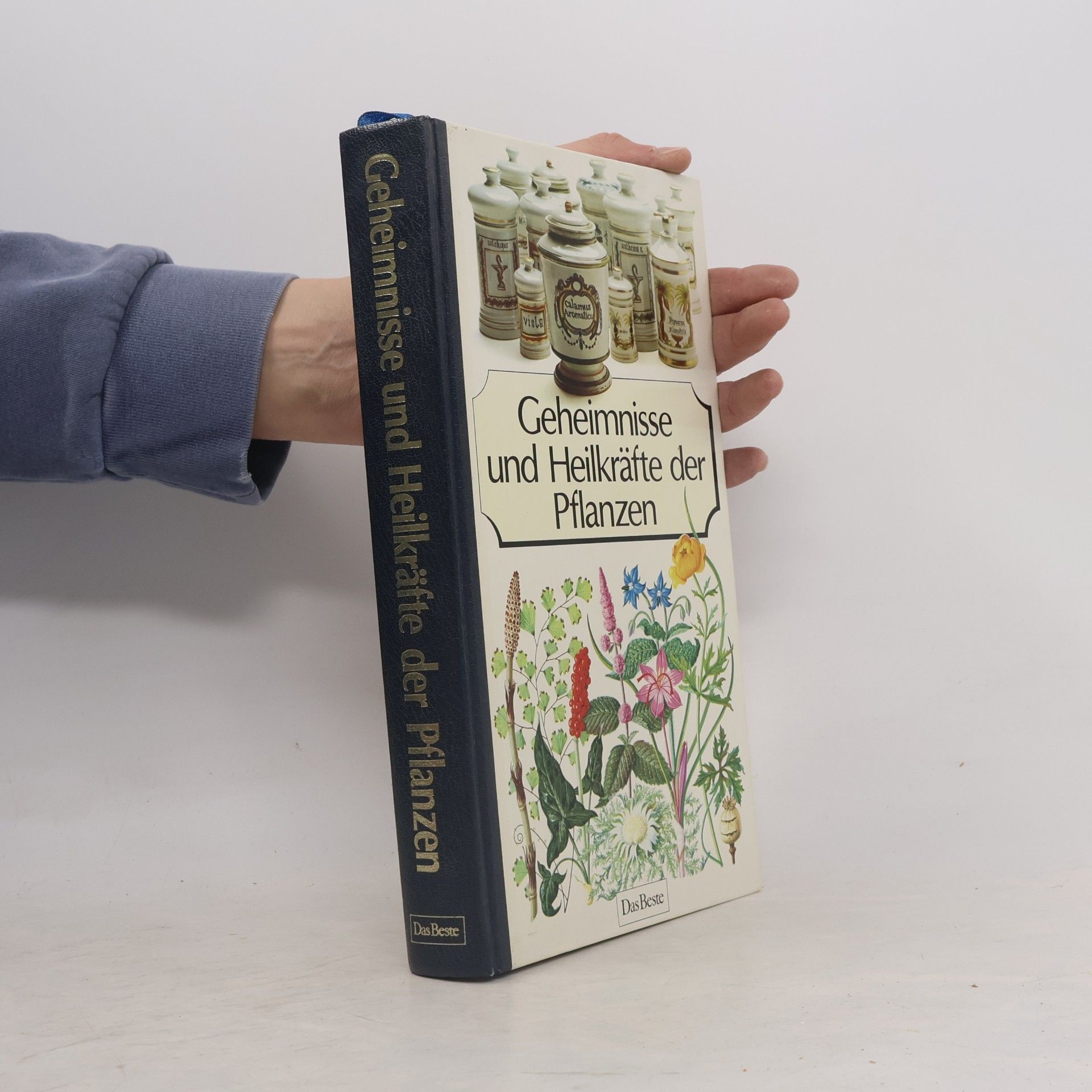Autorenkollektiv Geheimnisse und Heilkräfte der Pflanzen