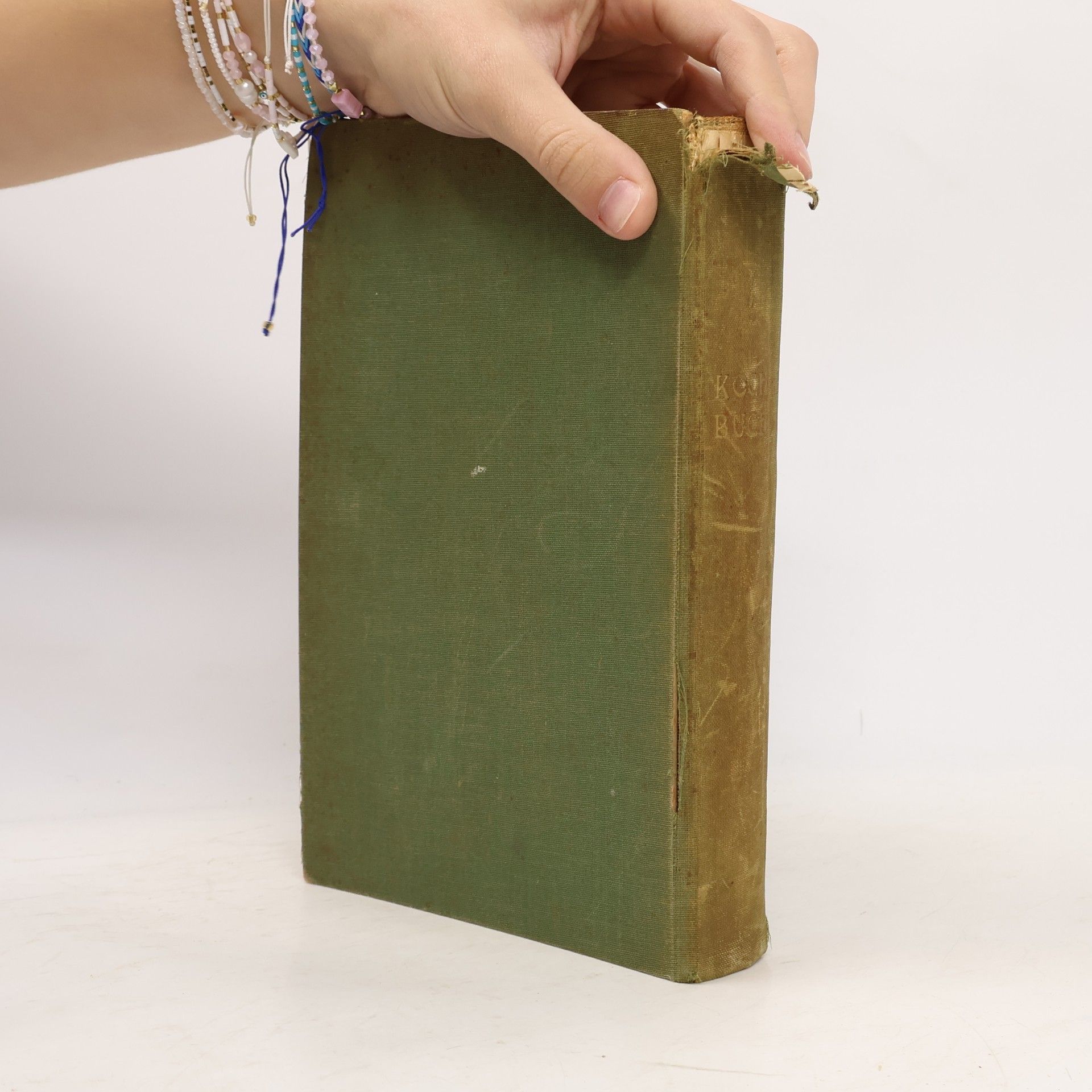 Elisabeth und Marie Plundra Anna Dengler Kochbuch der Haushaltungsschule, Troppau