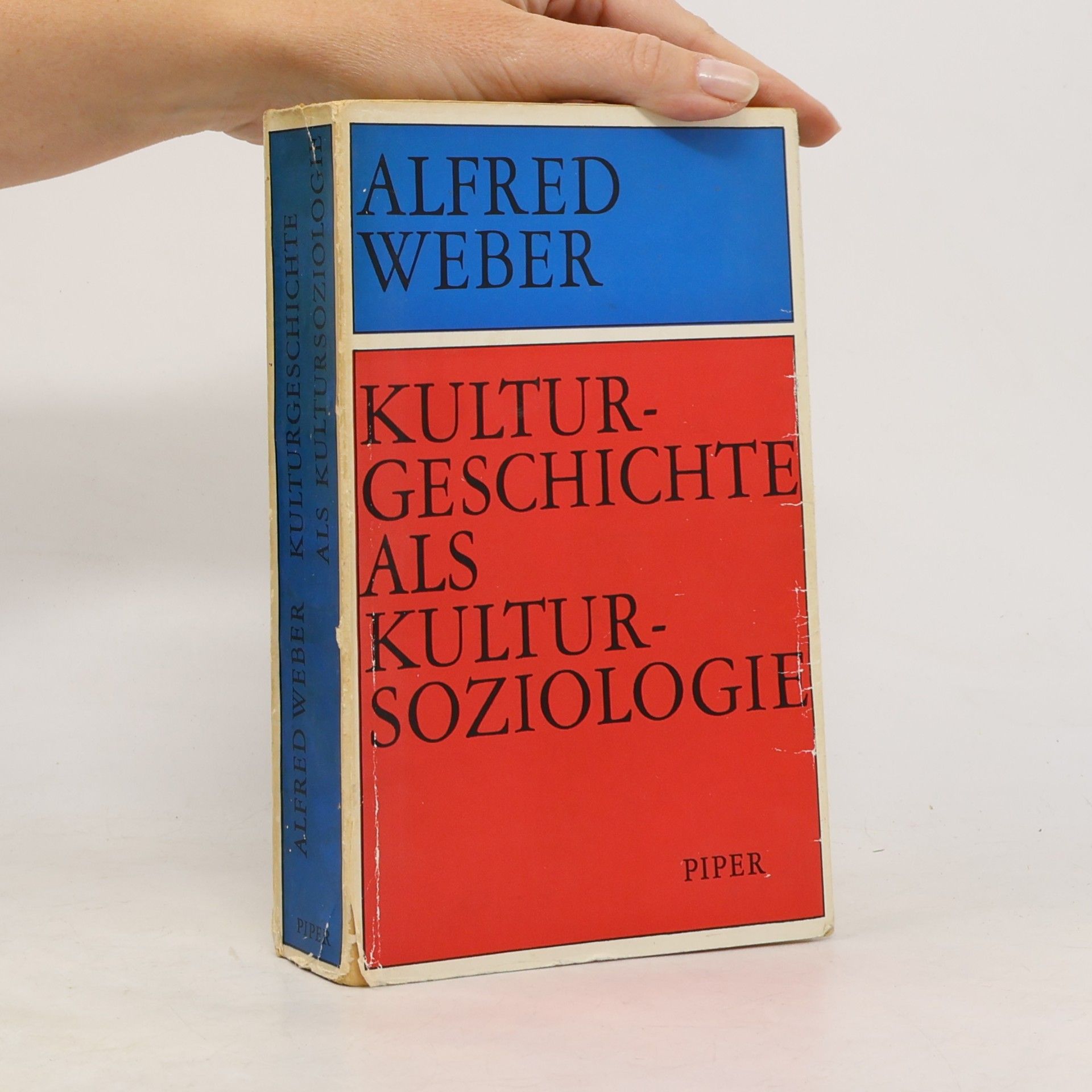 Kulturgeschichte als Kultursoziologie