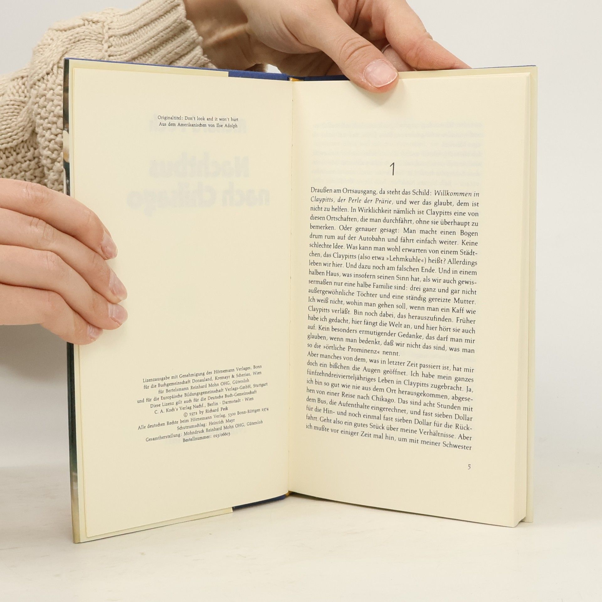 Richard Peck Nachtbus nach Chikago