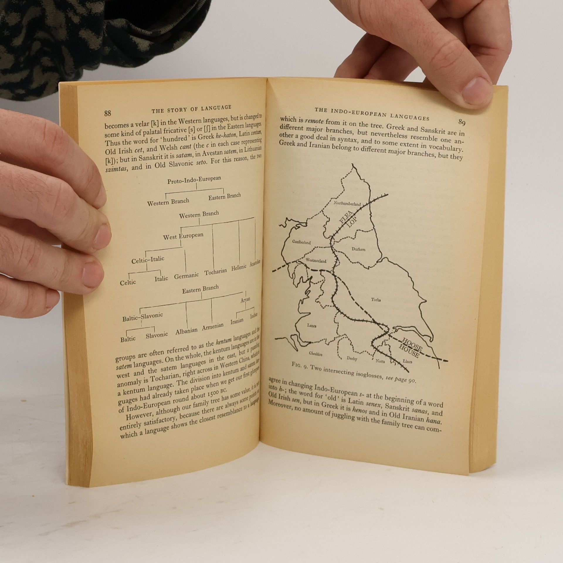 C. L. Barber The Story of Language