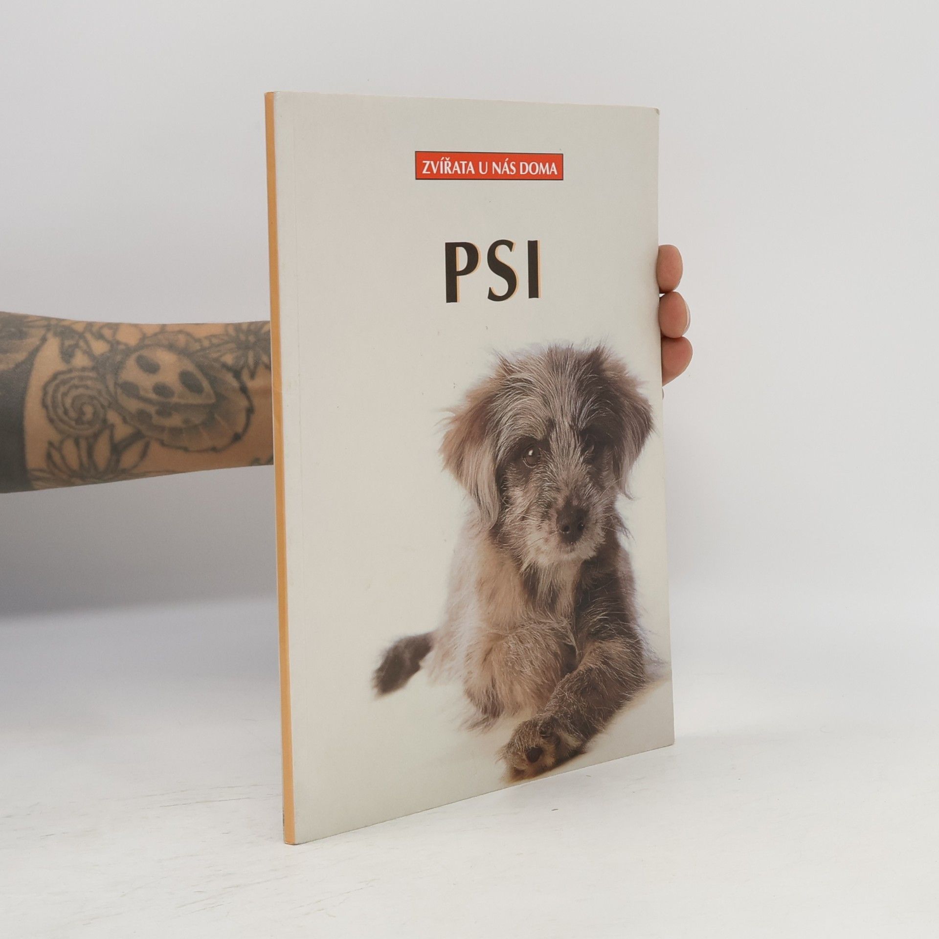 Dagmar Schratter Psi