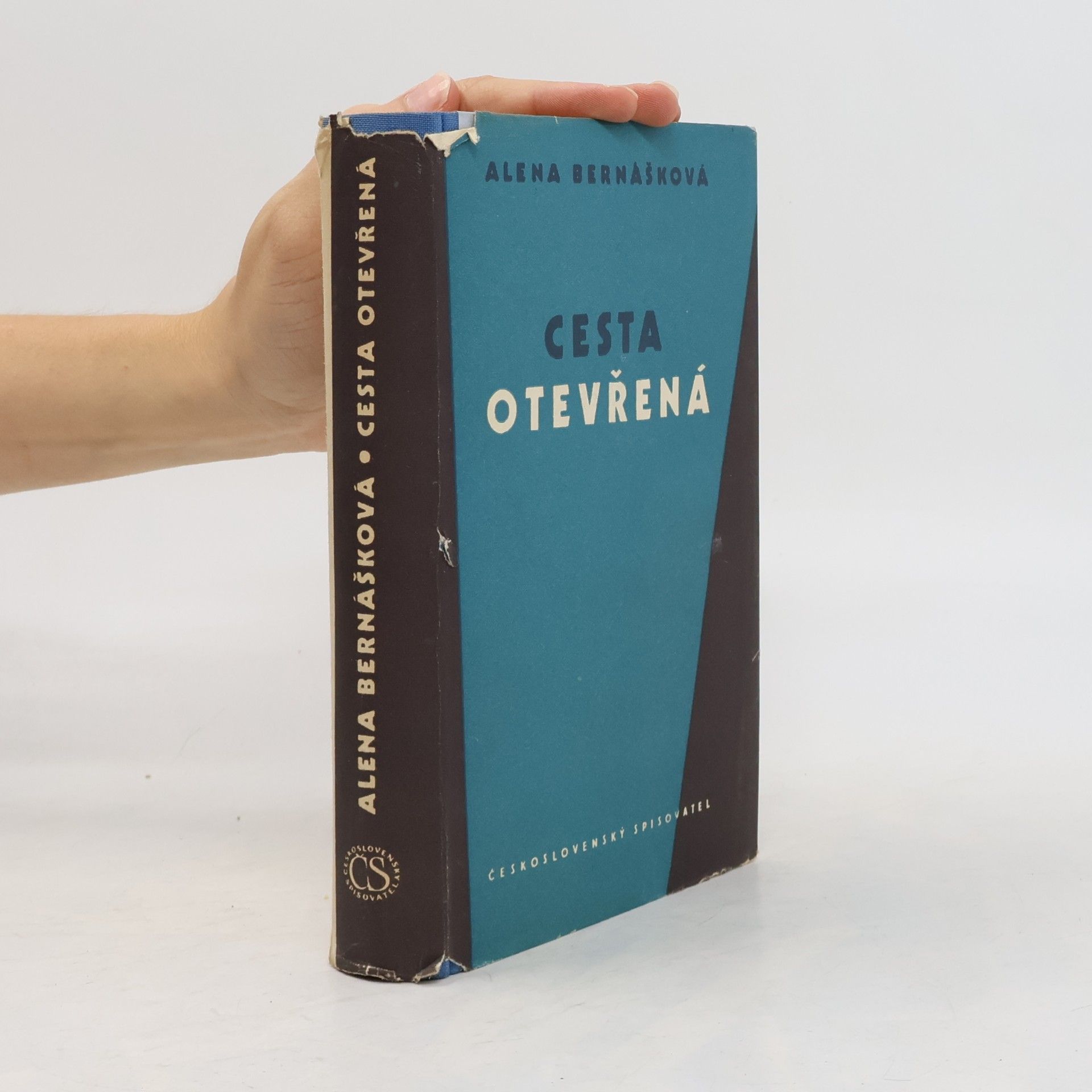 Alena Bernášková Cesta otevřená