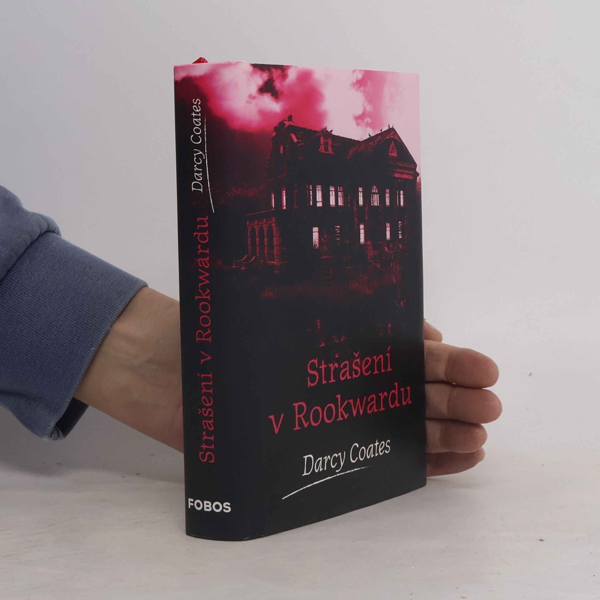 Darcy Coates Strašení v Rookwardu