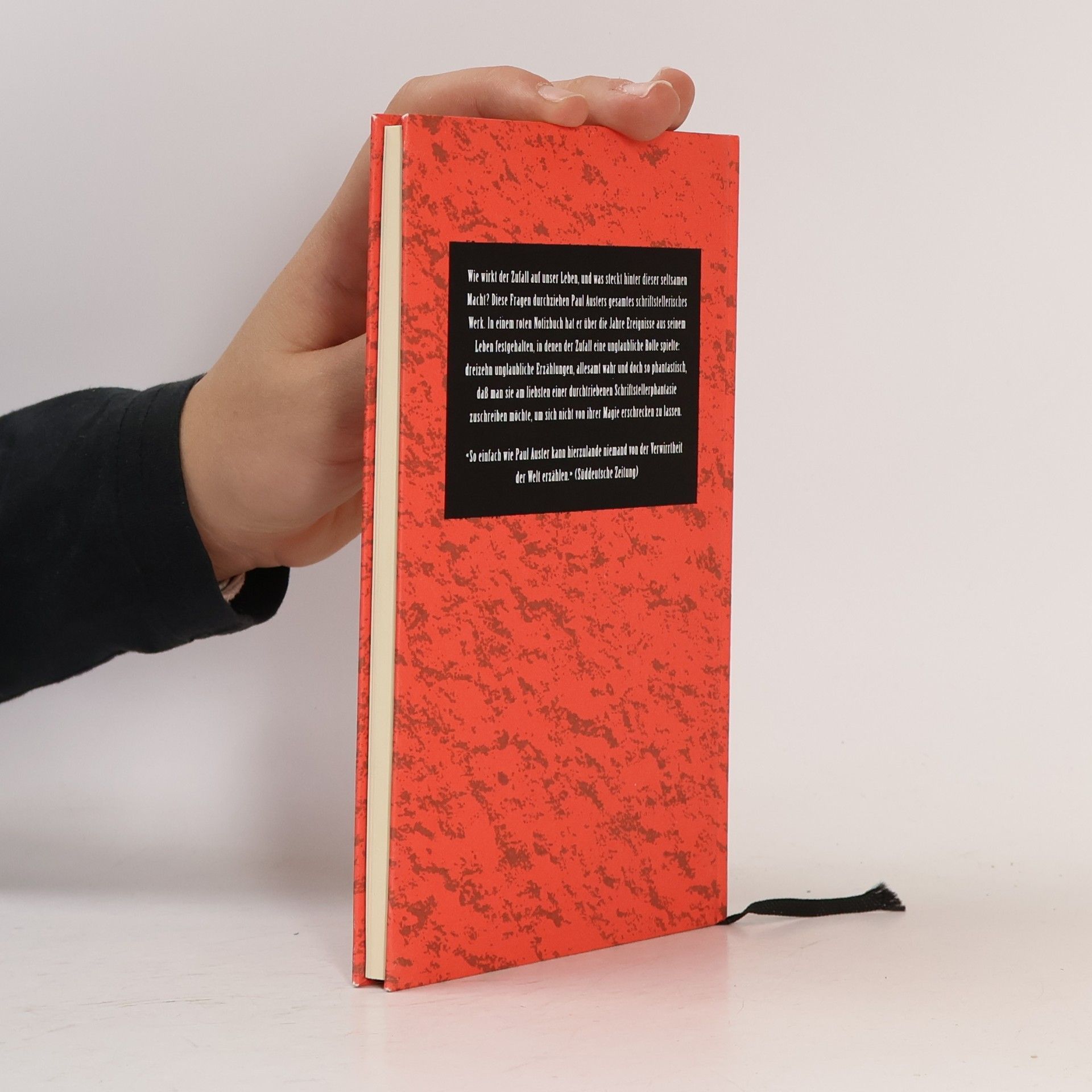 Paul Auster Das rote Notizbuch