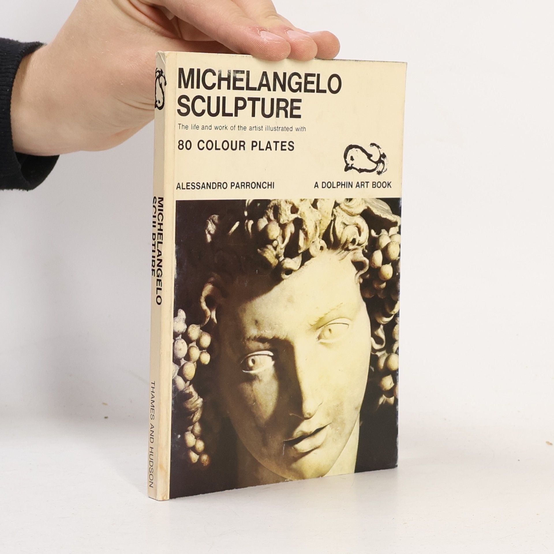 Alessandro Parronchi Dolphin Art Books: Michelangelo