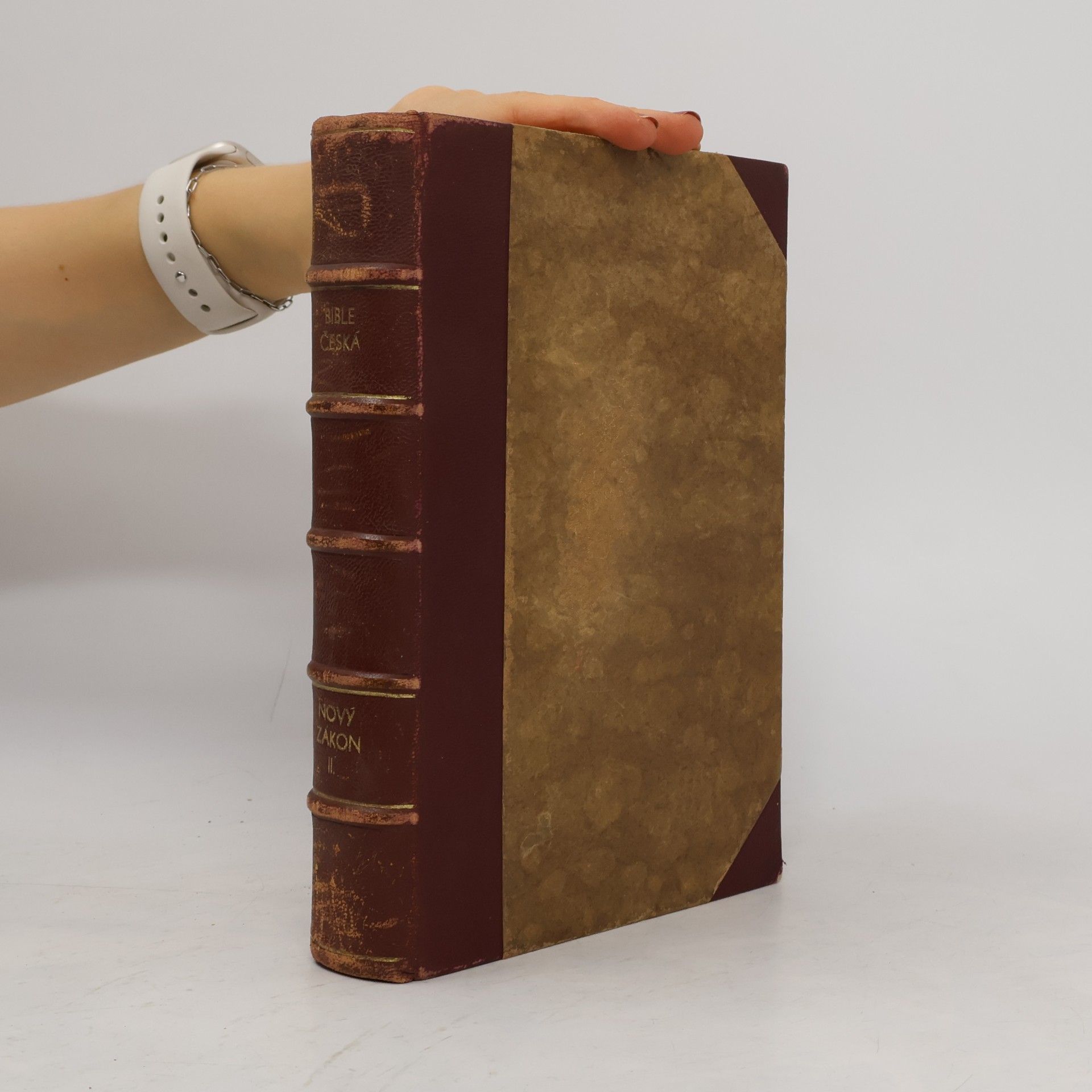 Dr. Jan Lad. Sykora BIBLE ČESKÁ