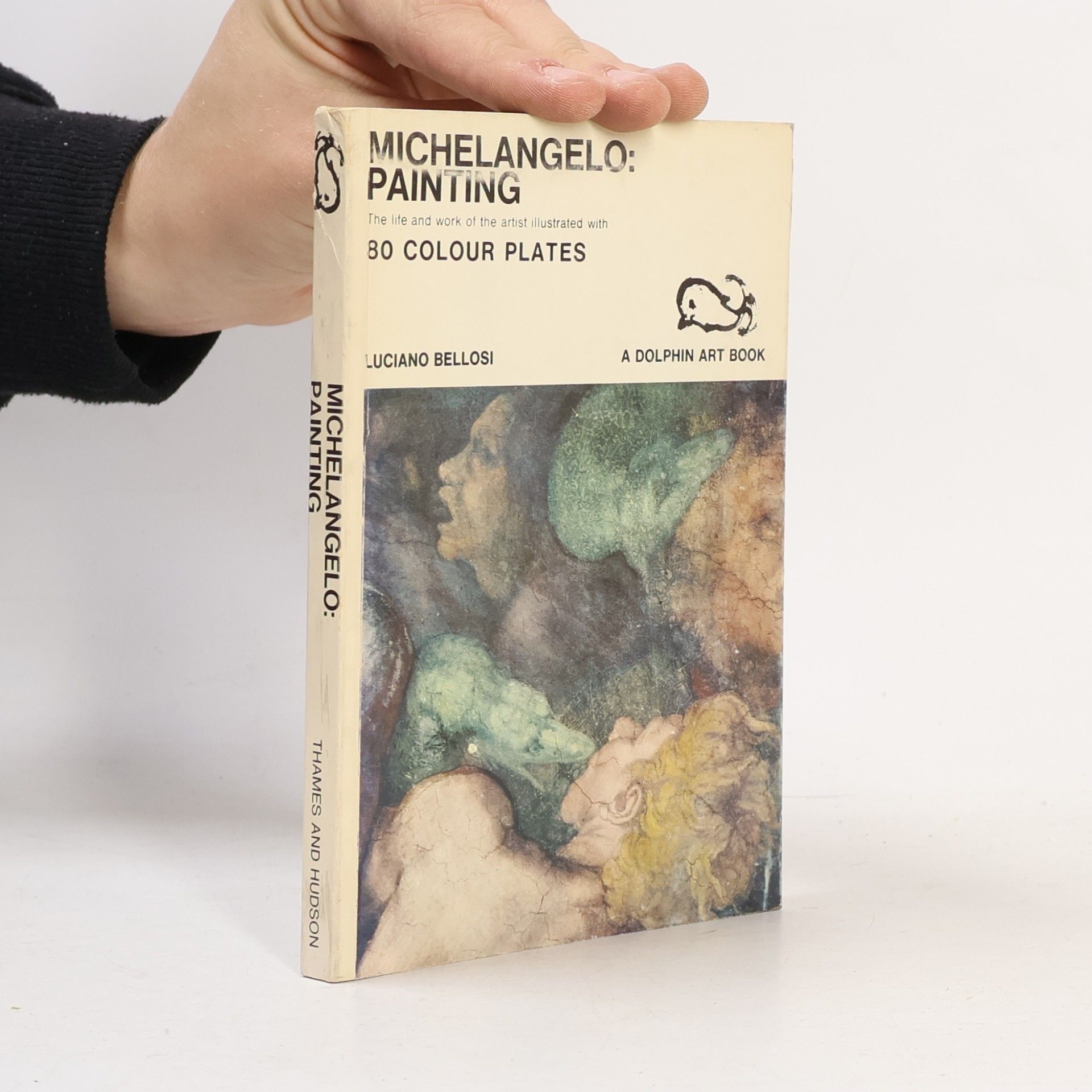 Dolphin Art Books: Michelangelo Painting