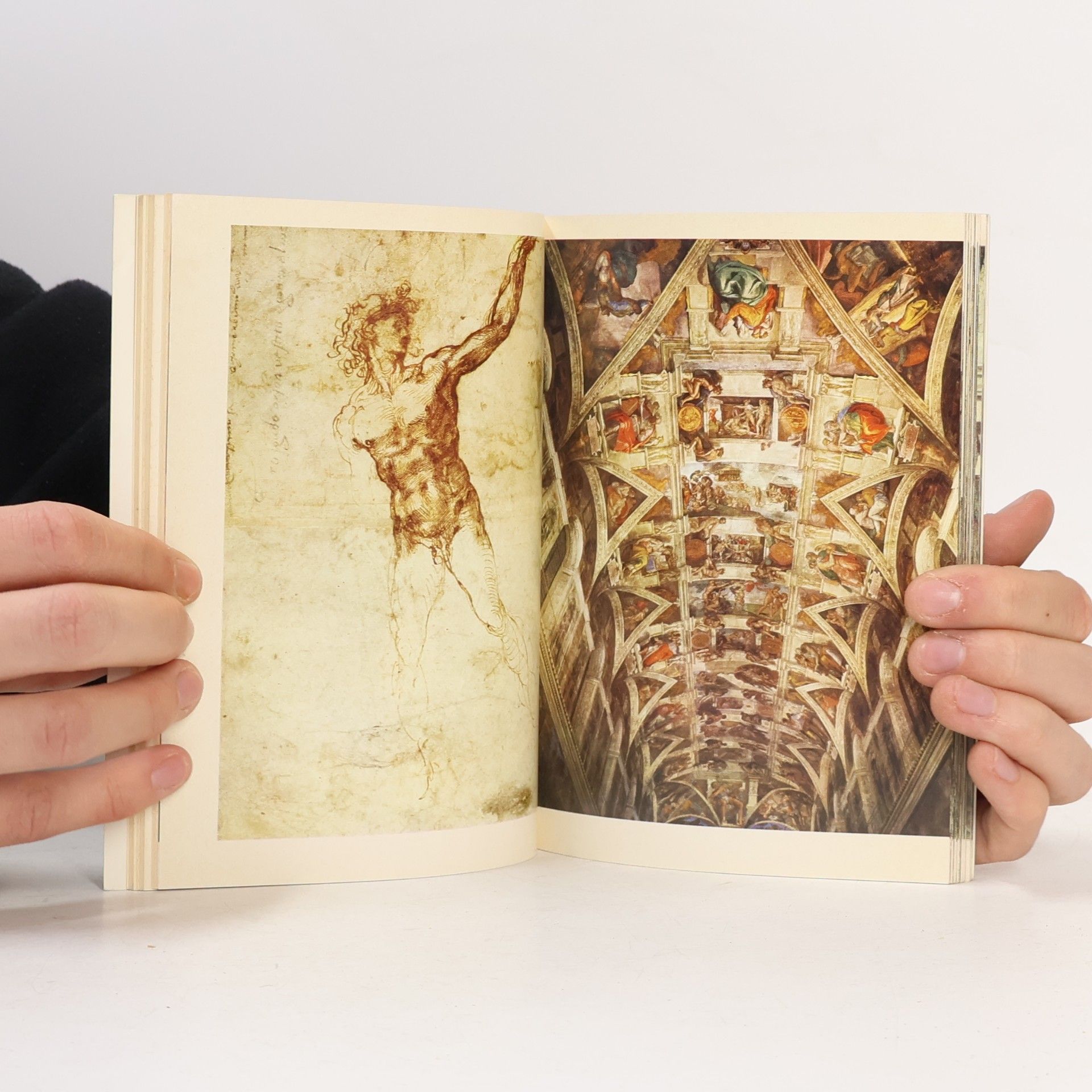 Luciano Bellosi Dolphin Art Books: Michelangelo Painting