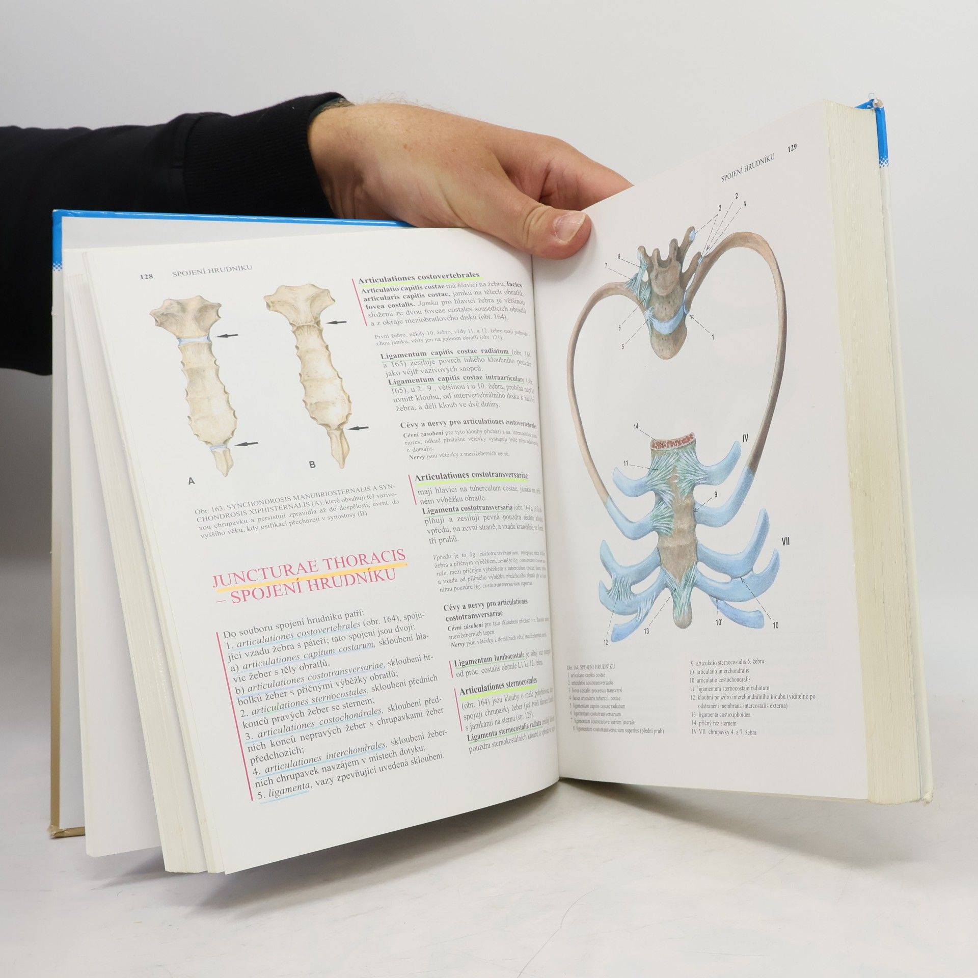 Radomír Čihák Anatomie 1