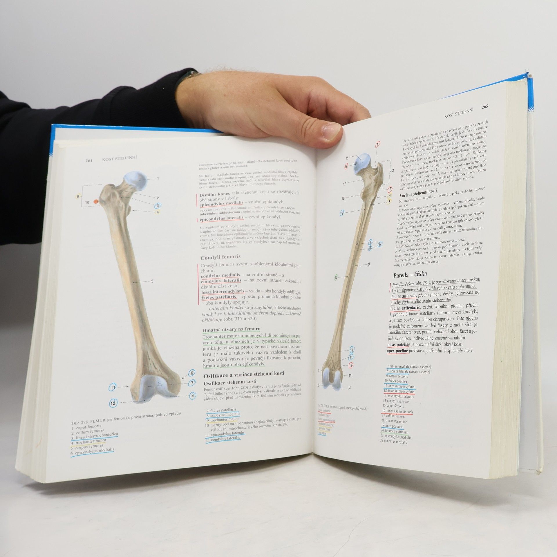 Radomír Čihák Anatomie 1