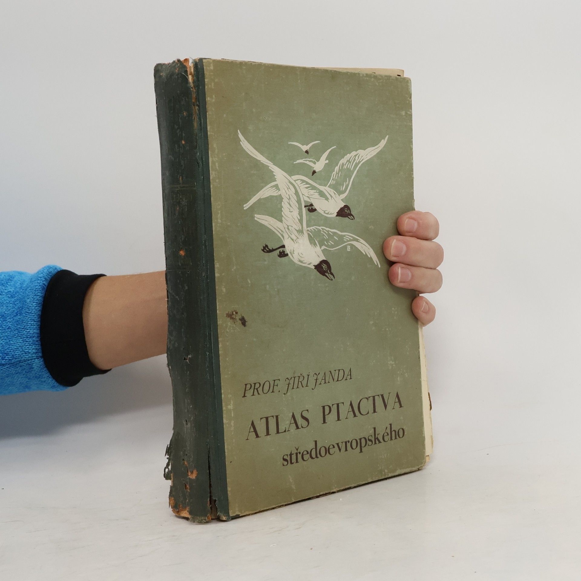 Atlas Ptactva