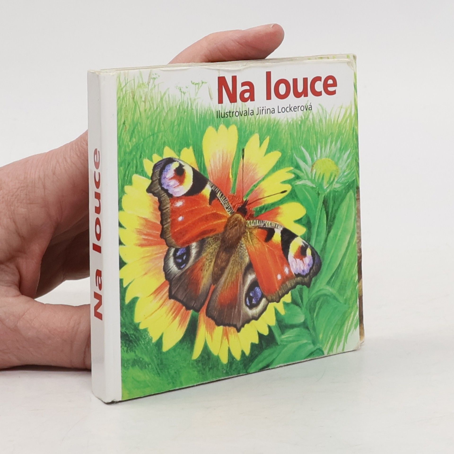 Jiřina Lockerová Na louce
