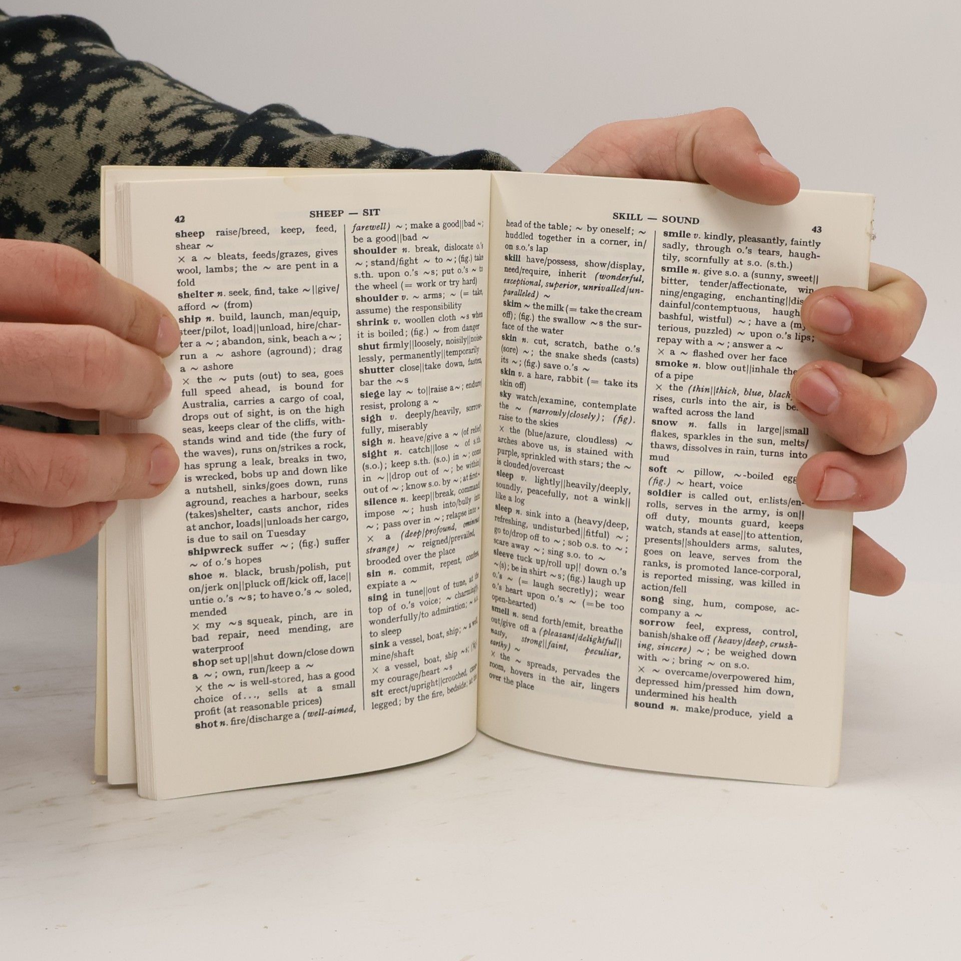 The Learners Dictionary of Style