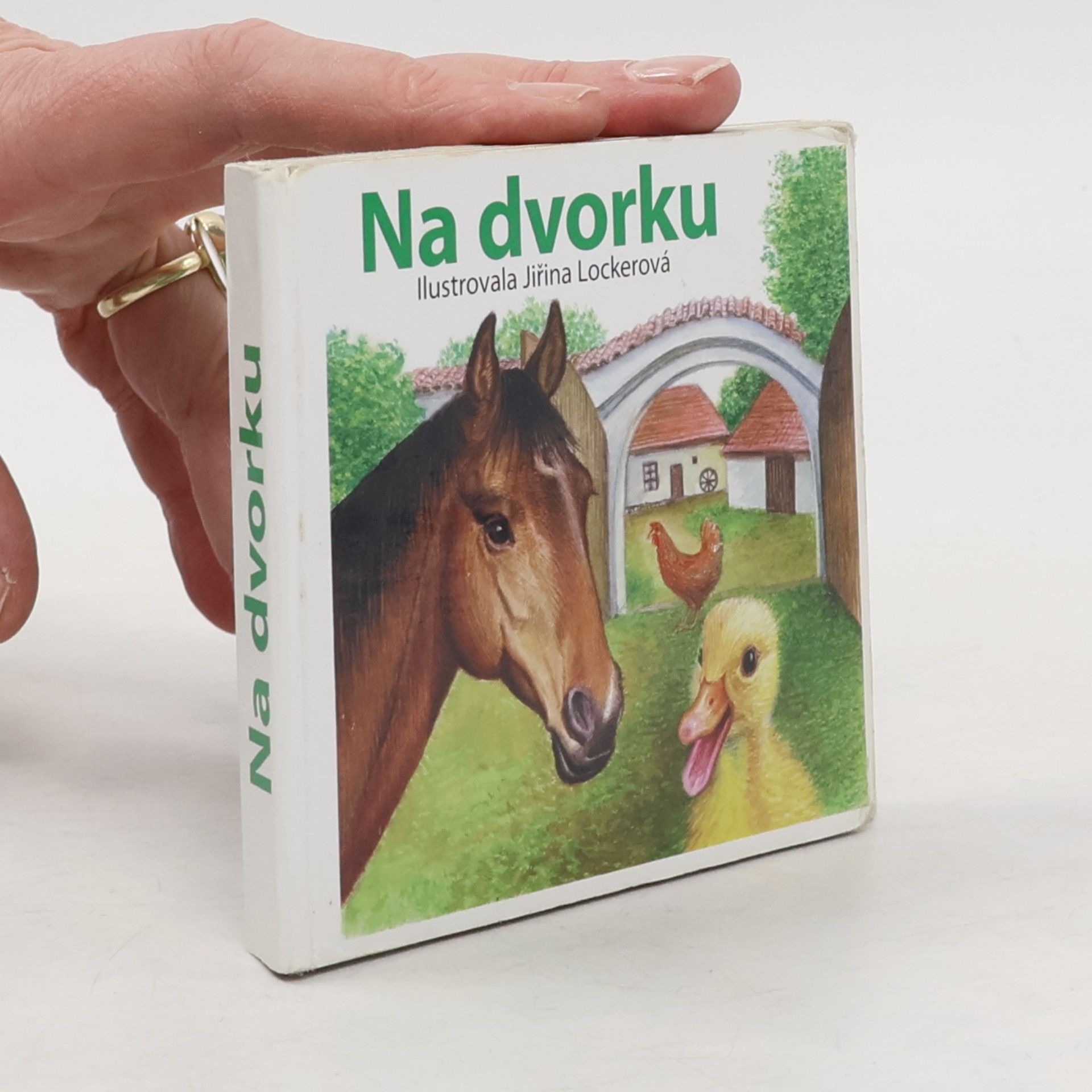 Jiřina Lockerová Na dvorku