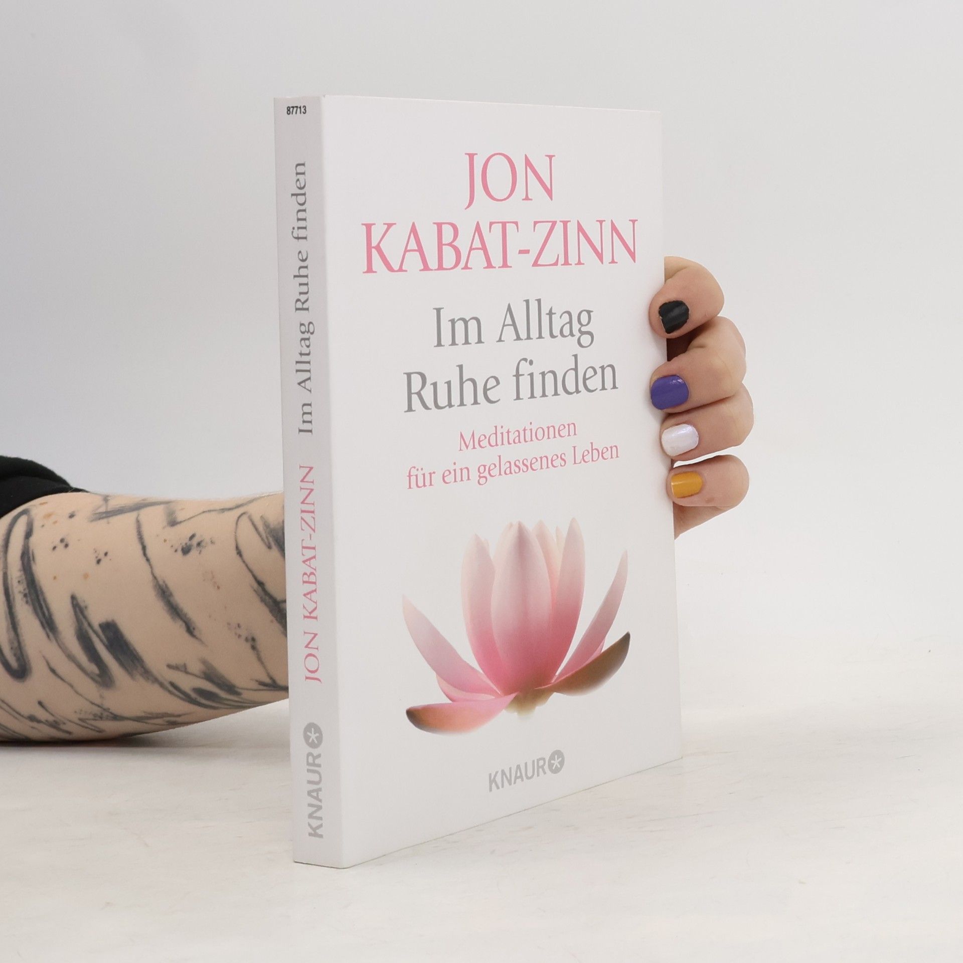 Jon Kabat-Zinn Im Alltag Ruhe finden