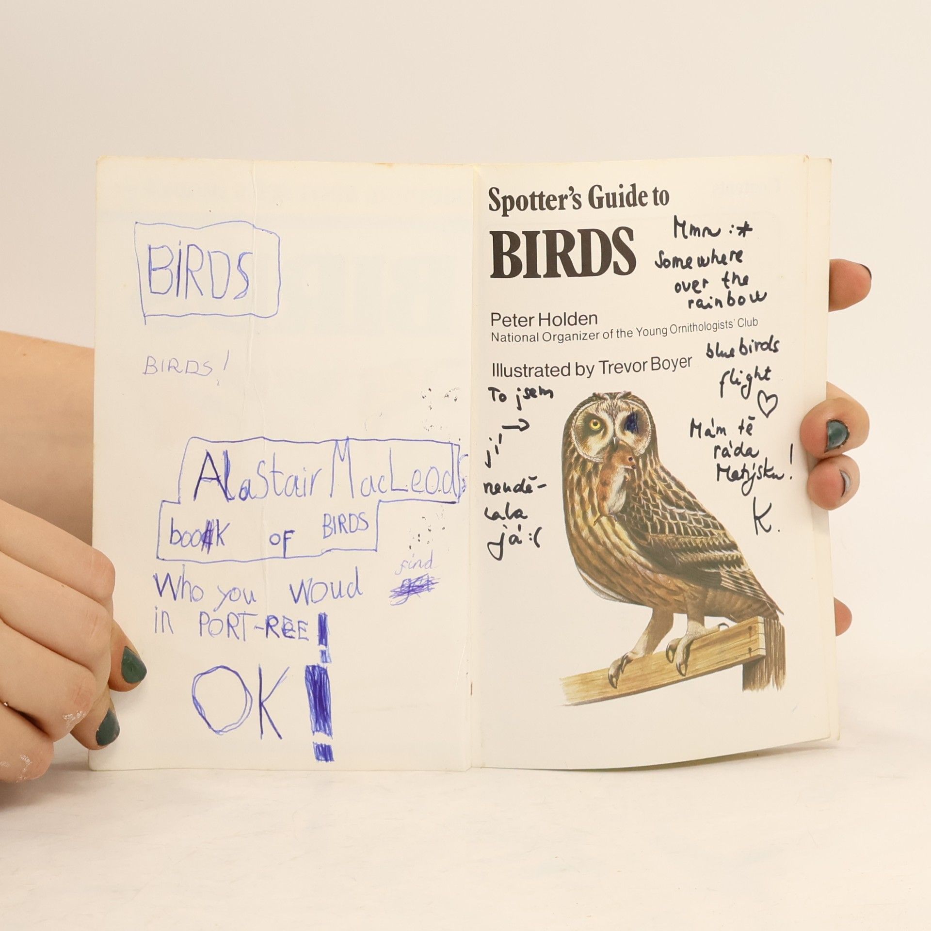Collectif d'auteurs Spotter's Guide to Birds