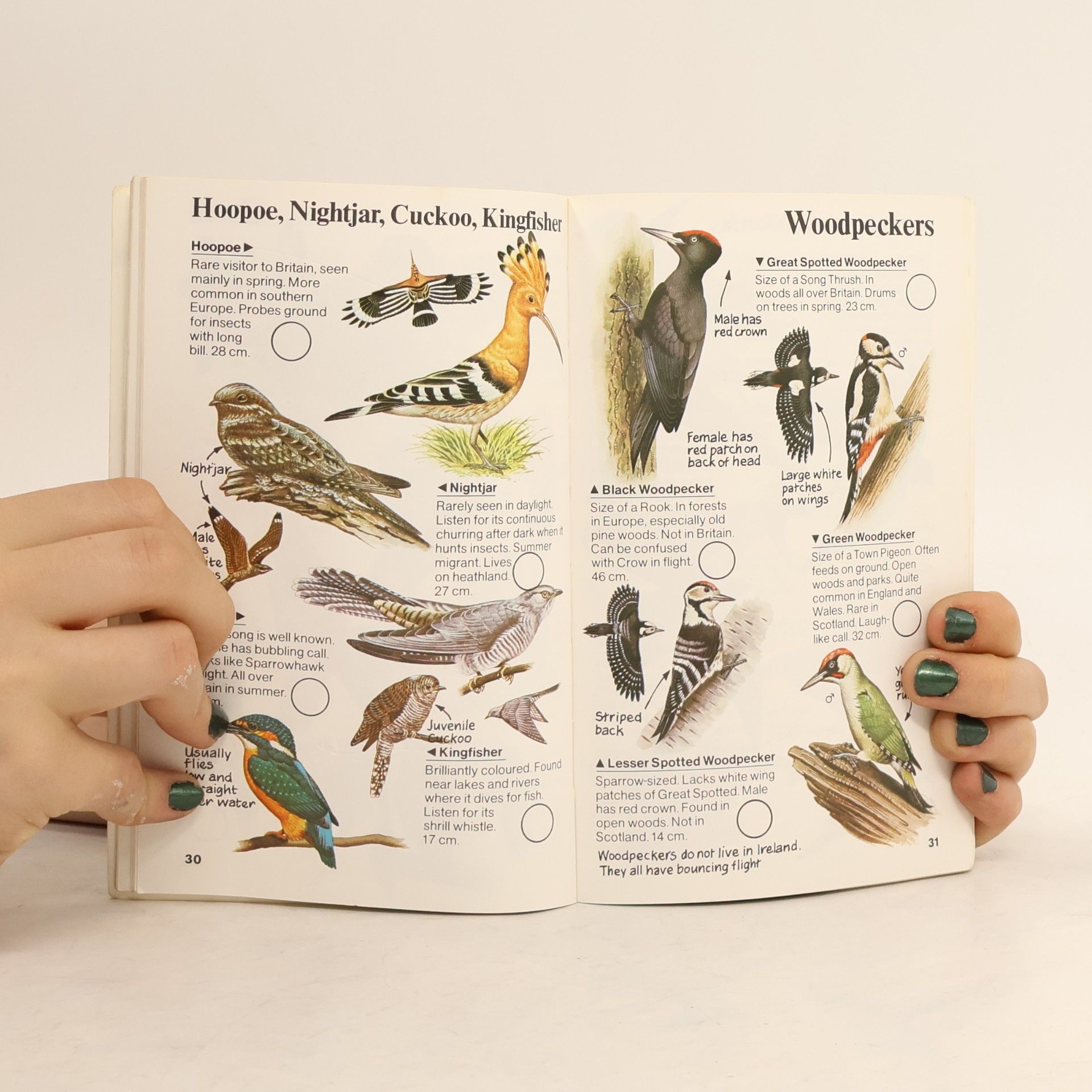 Collectif d'auteurs Spotter's Guide to Birds