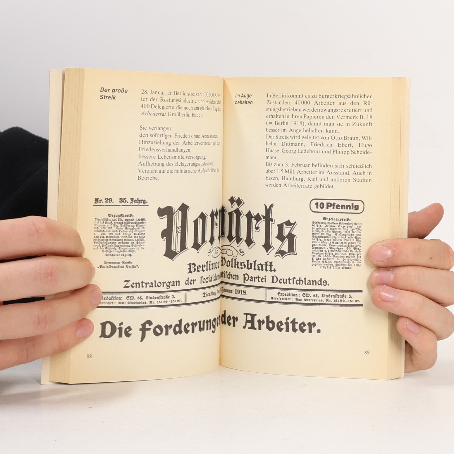 Dieter Struß Das war 1918