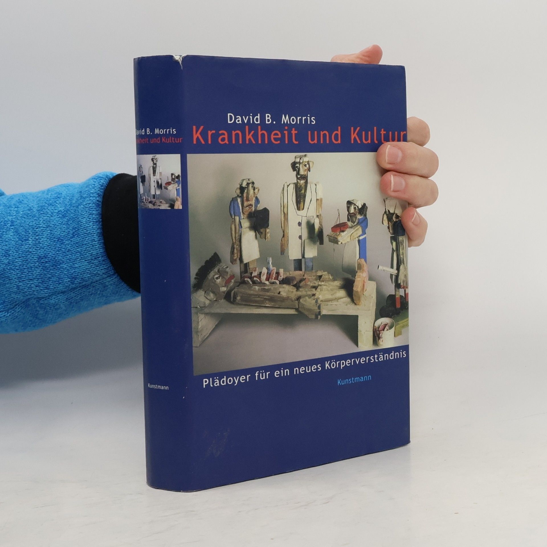 David B. Morris Krankheit und Kultur