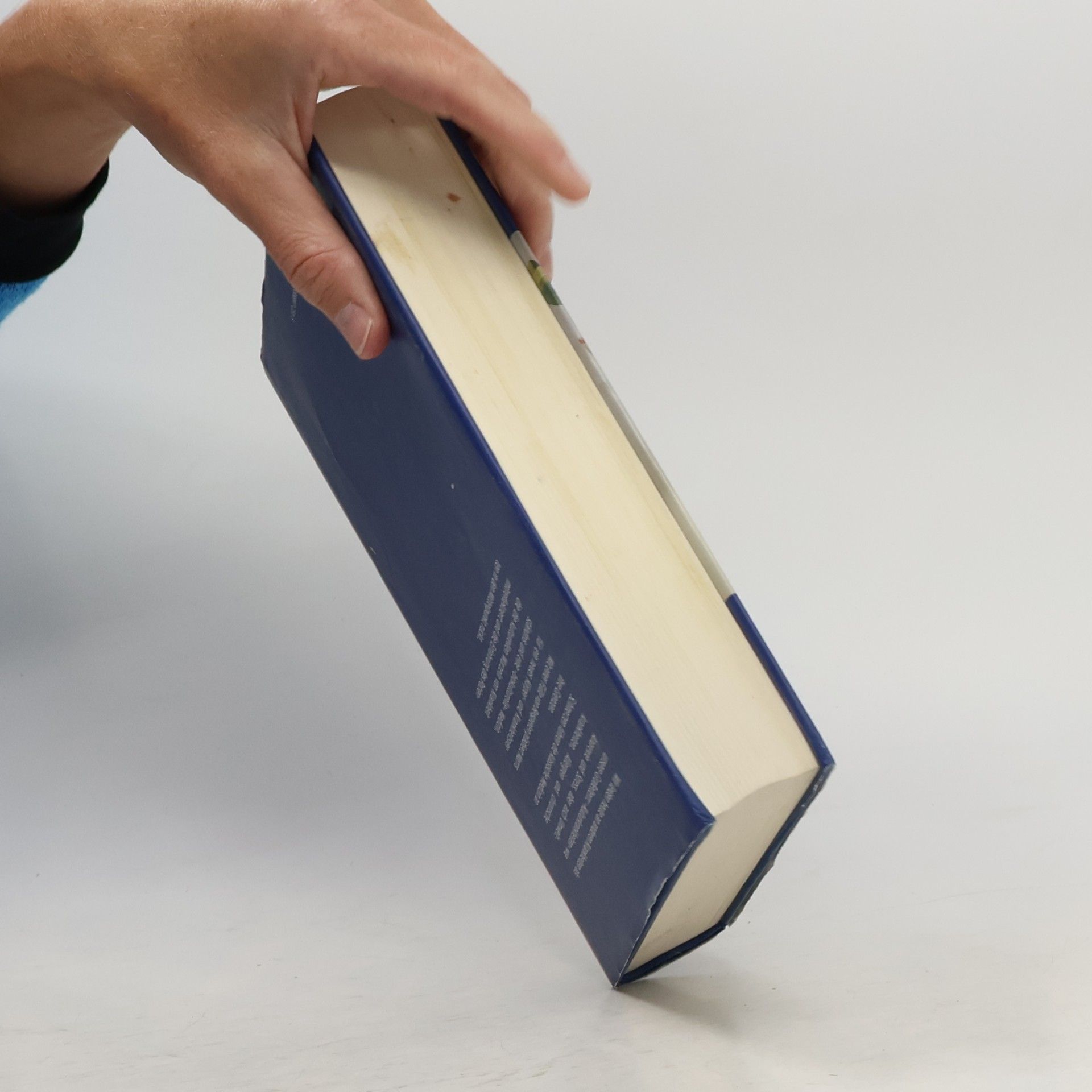 David B. Morris Krankheit und Kultur