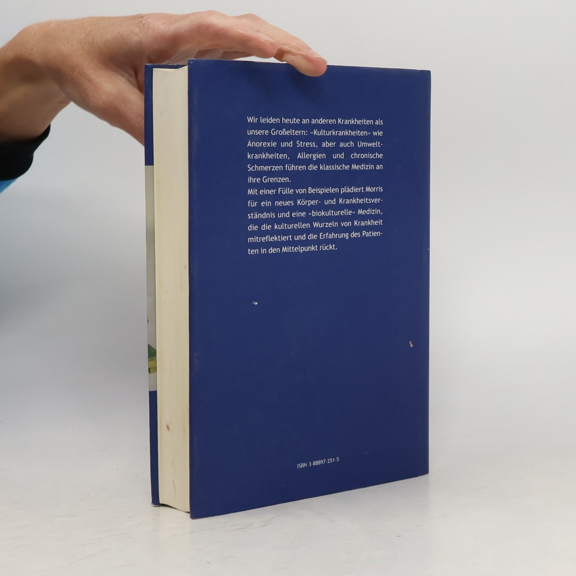 David B. Morris Krankheit und Kultur