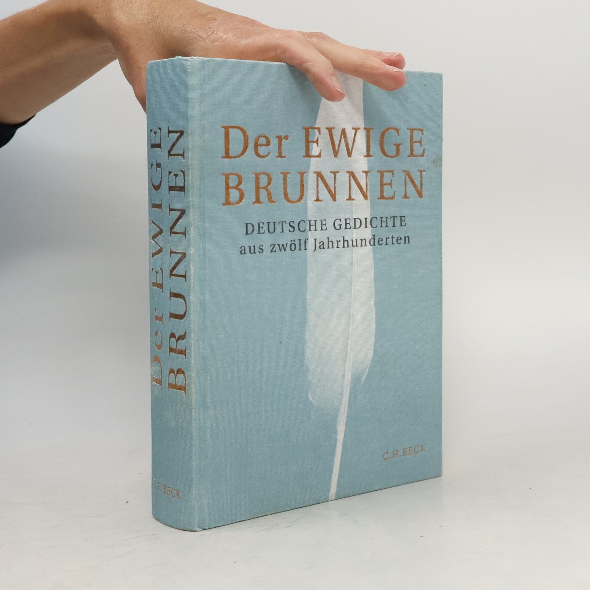 Dirk von Petersdorff Der ewige Brunnen
