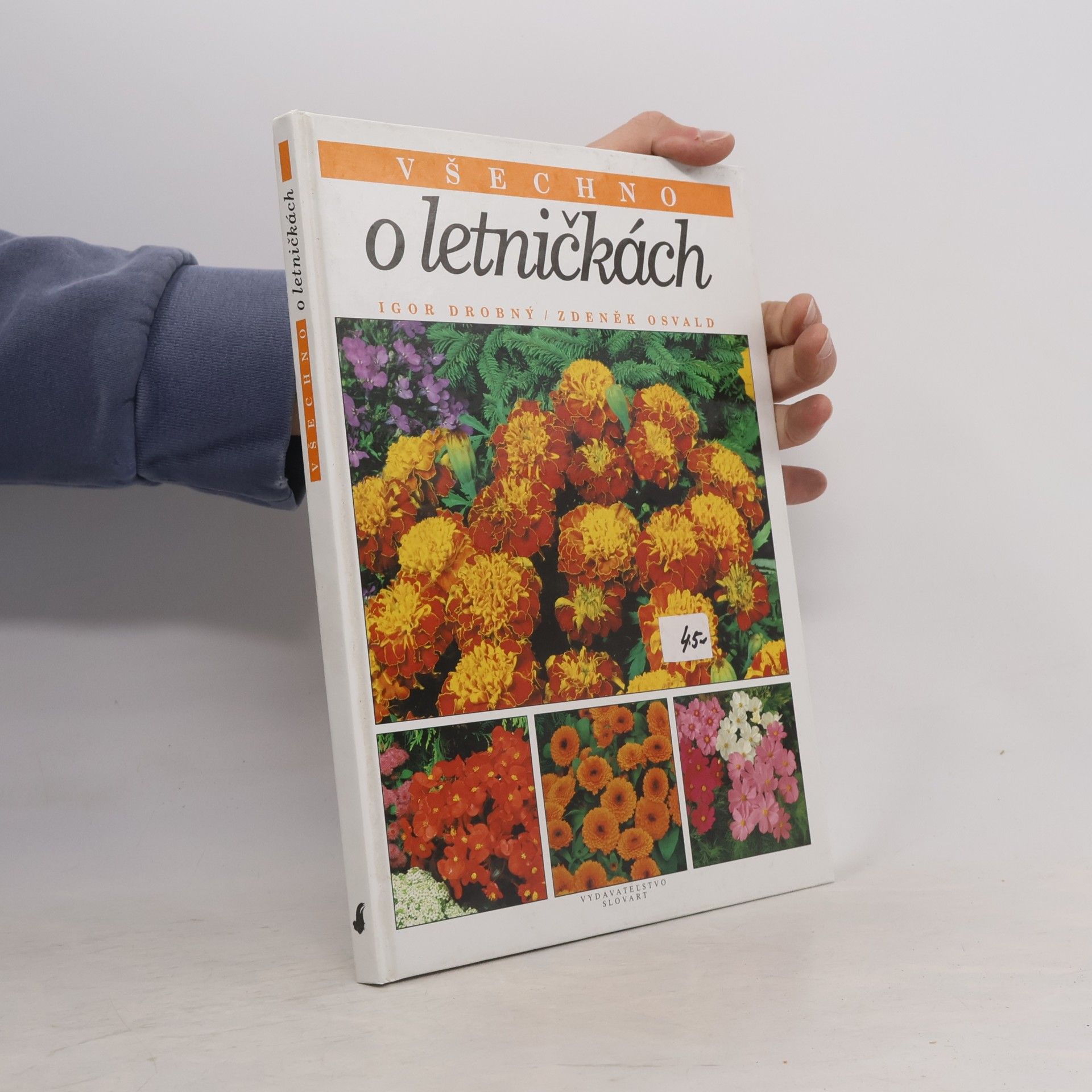 Všechno o letničkách