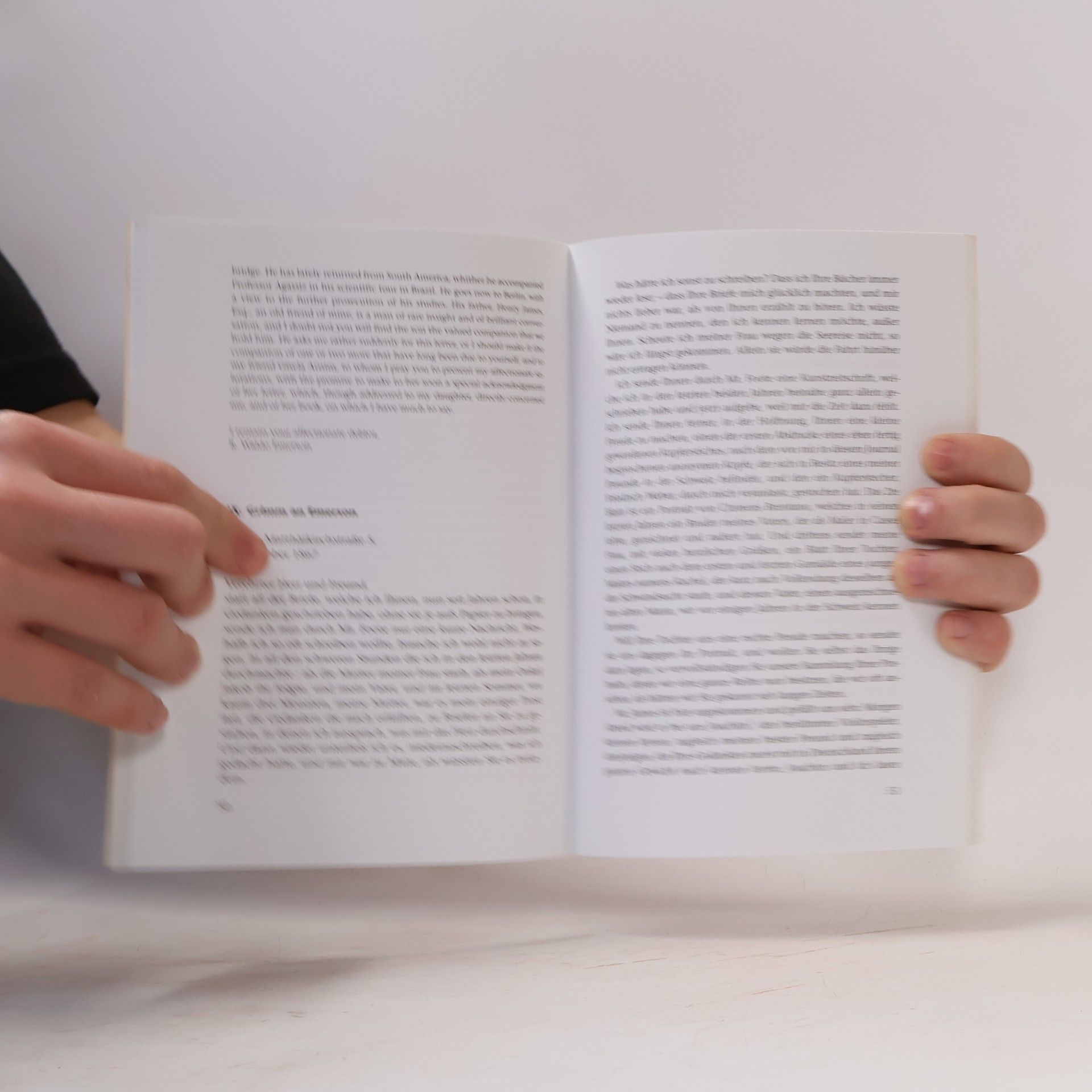Ralph Waldo Emerson Der Briefwechsel Ralph Waldo Emerson / Herman Grimm