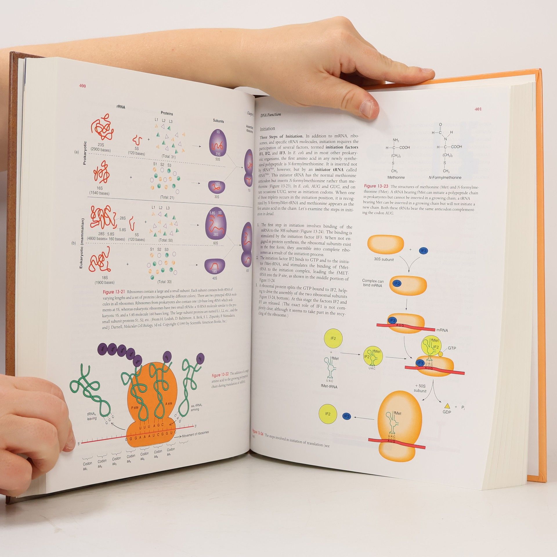 Anthony J. F Griffiths An Introduction to Genetic Analysis