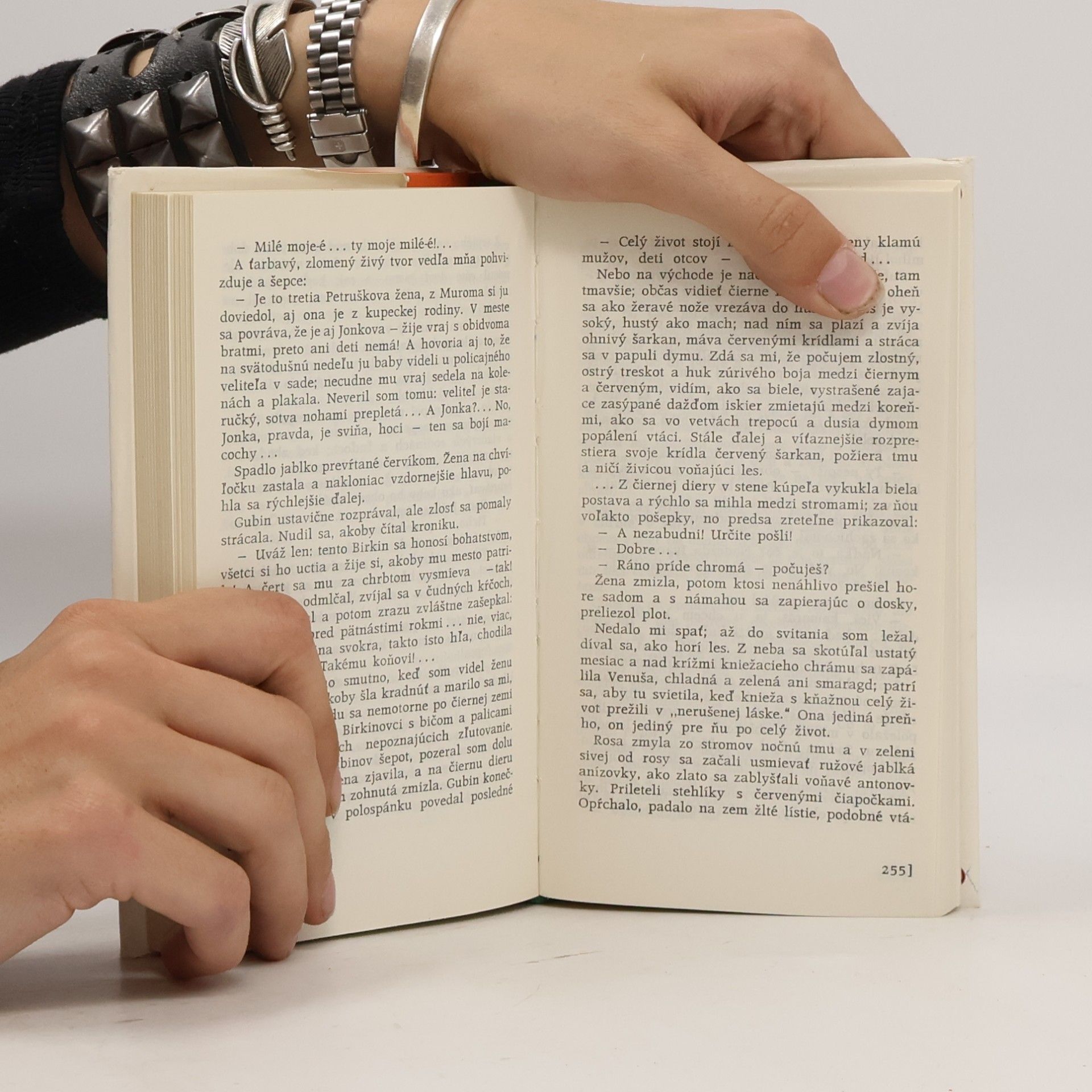 Maxim Gorky Makar Čudra