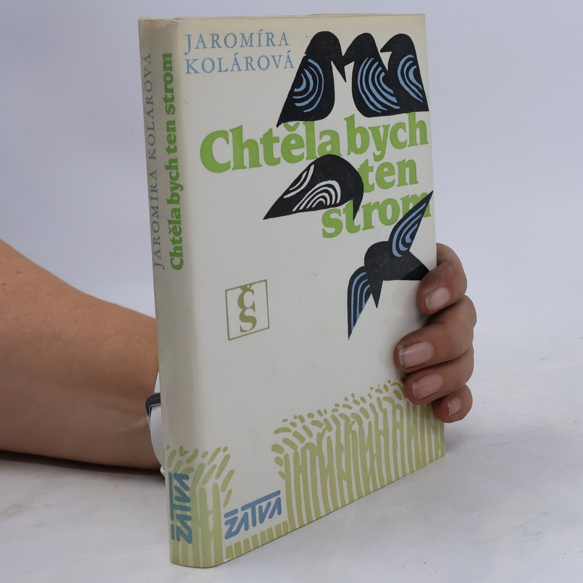 Chtěla bych ten strom