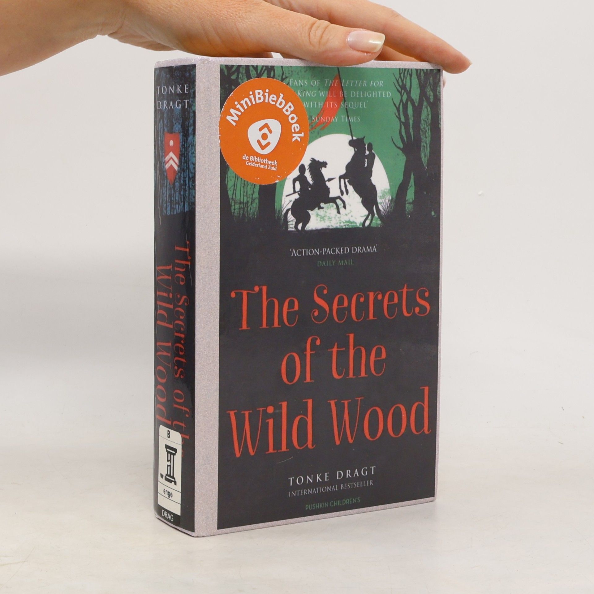 Tonke Dragt The Secrets of the Wild Wood