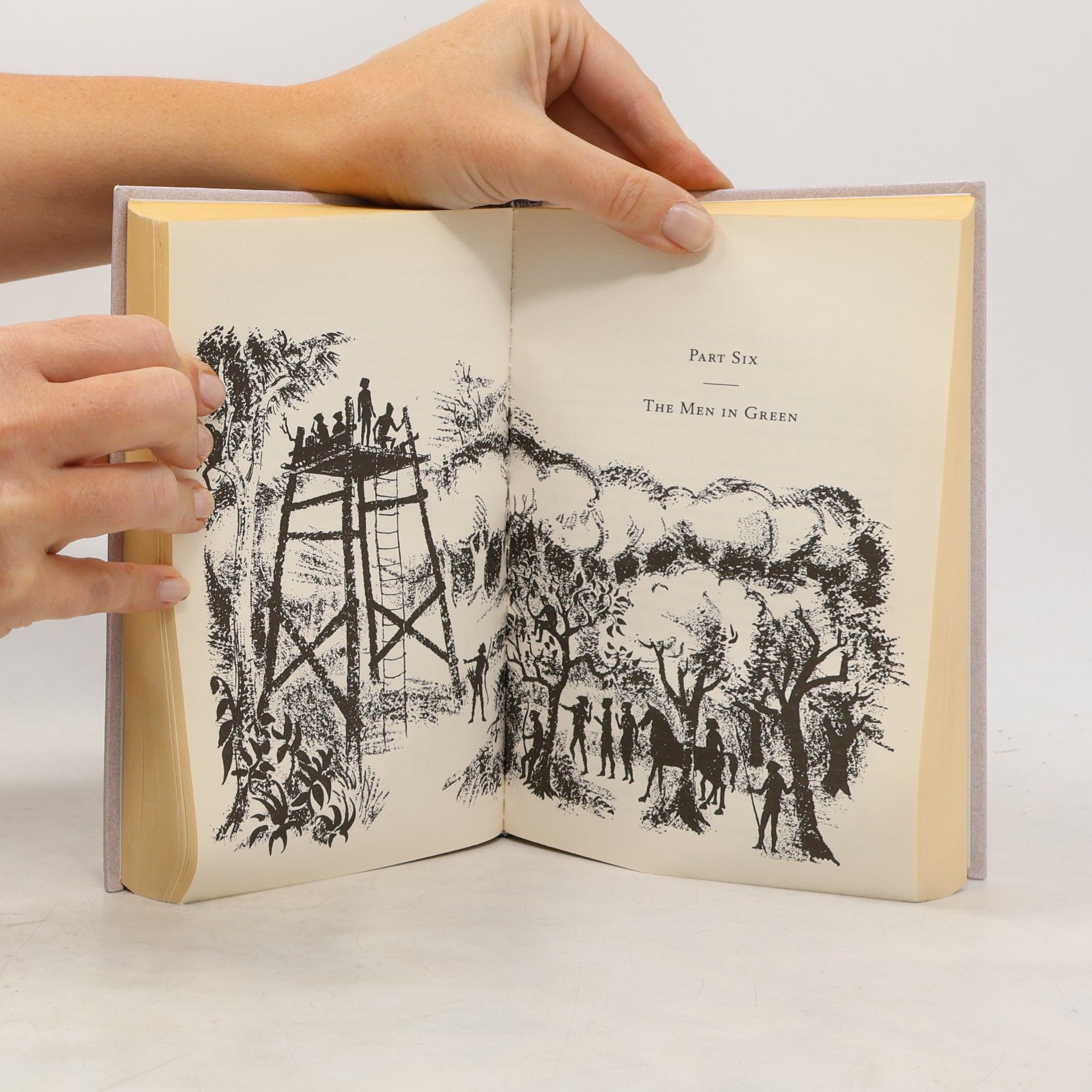 Tonke Dragt The Secrets of the Wild Wood