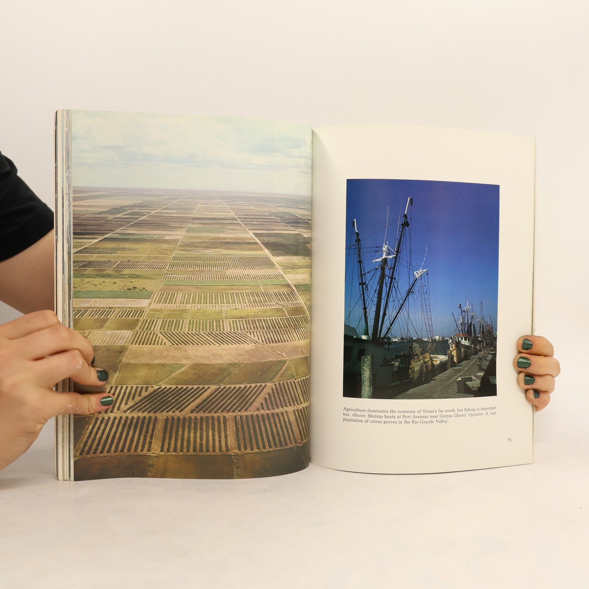 Lon Tinkle Texas, A Picture Tour