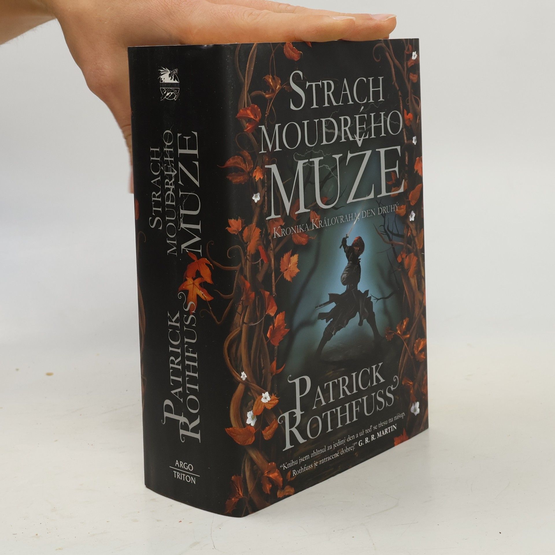 Patrick Rothfuss Strach moudrého muže