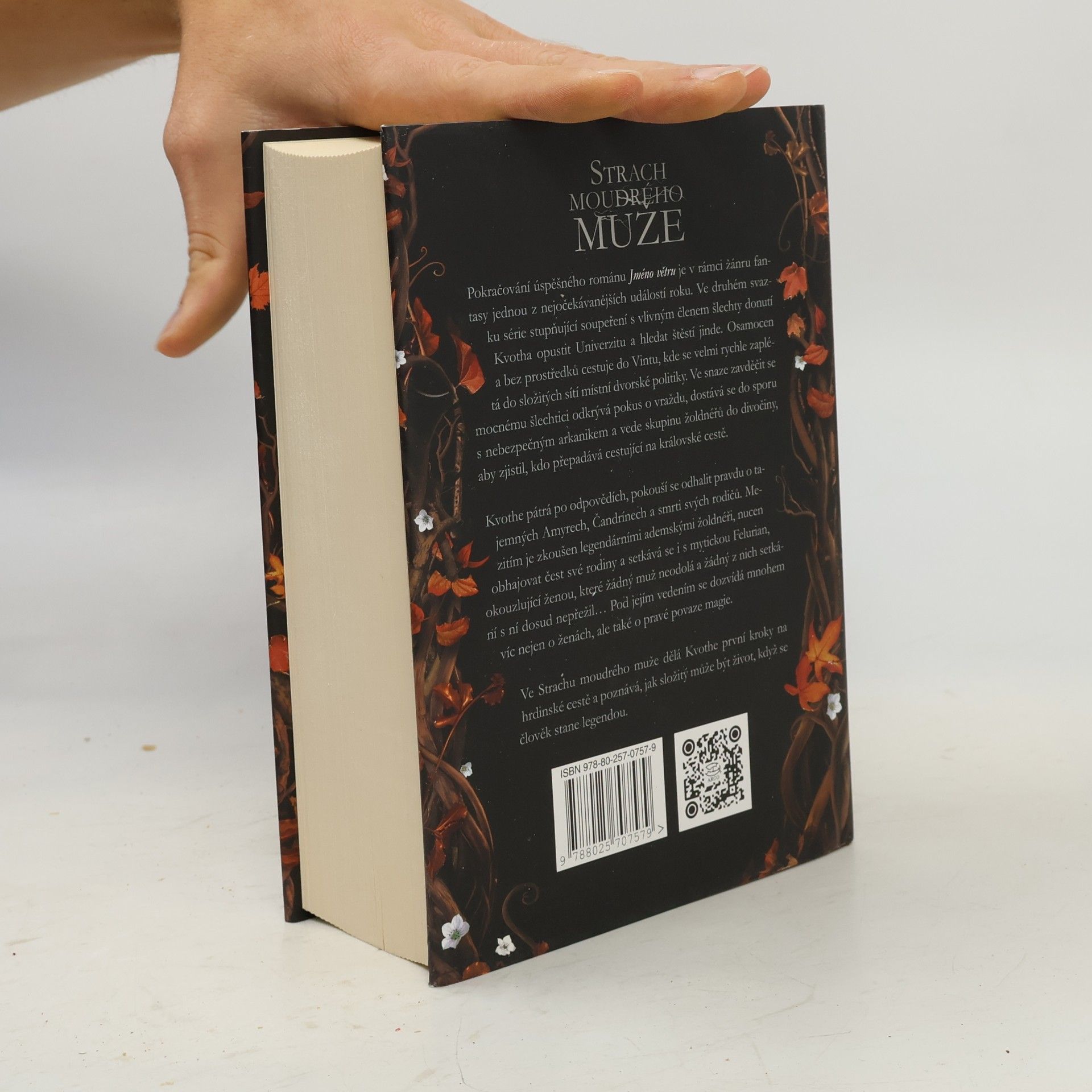 Patrick Rothfuss Strach moudrého muže