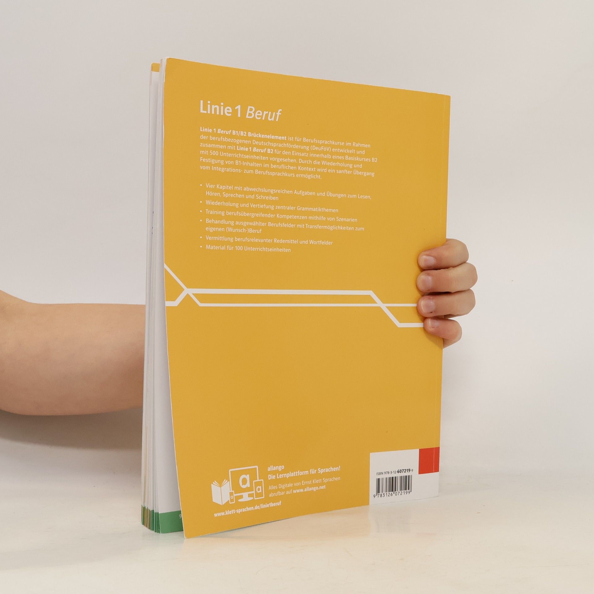 Lutz Rohmann Linie 1 Beruf B1/B2 Brückenelement - Hybride Ausgabe allango