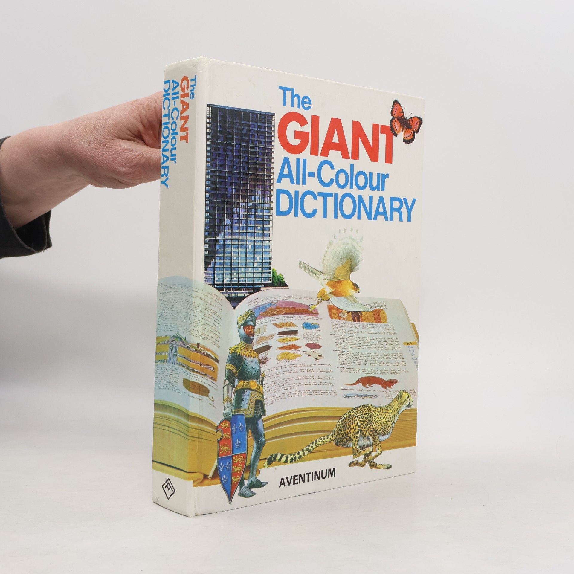 Stuart A. Courtis The Giant All-Colour Dictionary