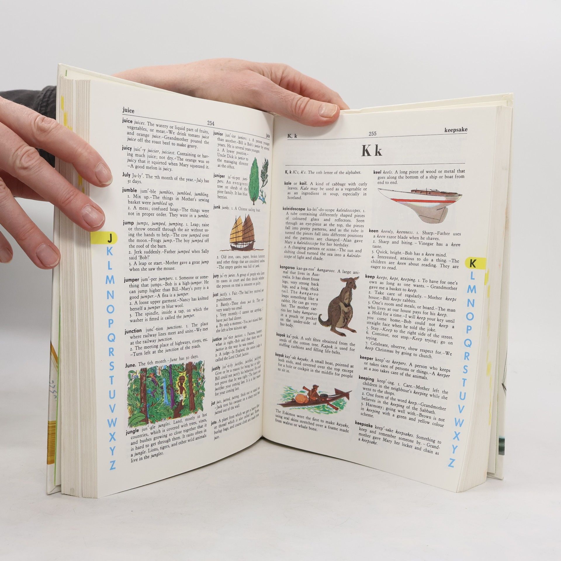 Stuart A. Courtis The Giant All-Colour Dictionary