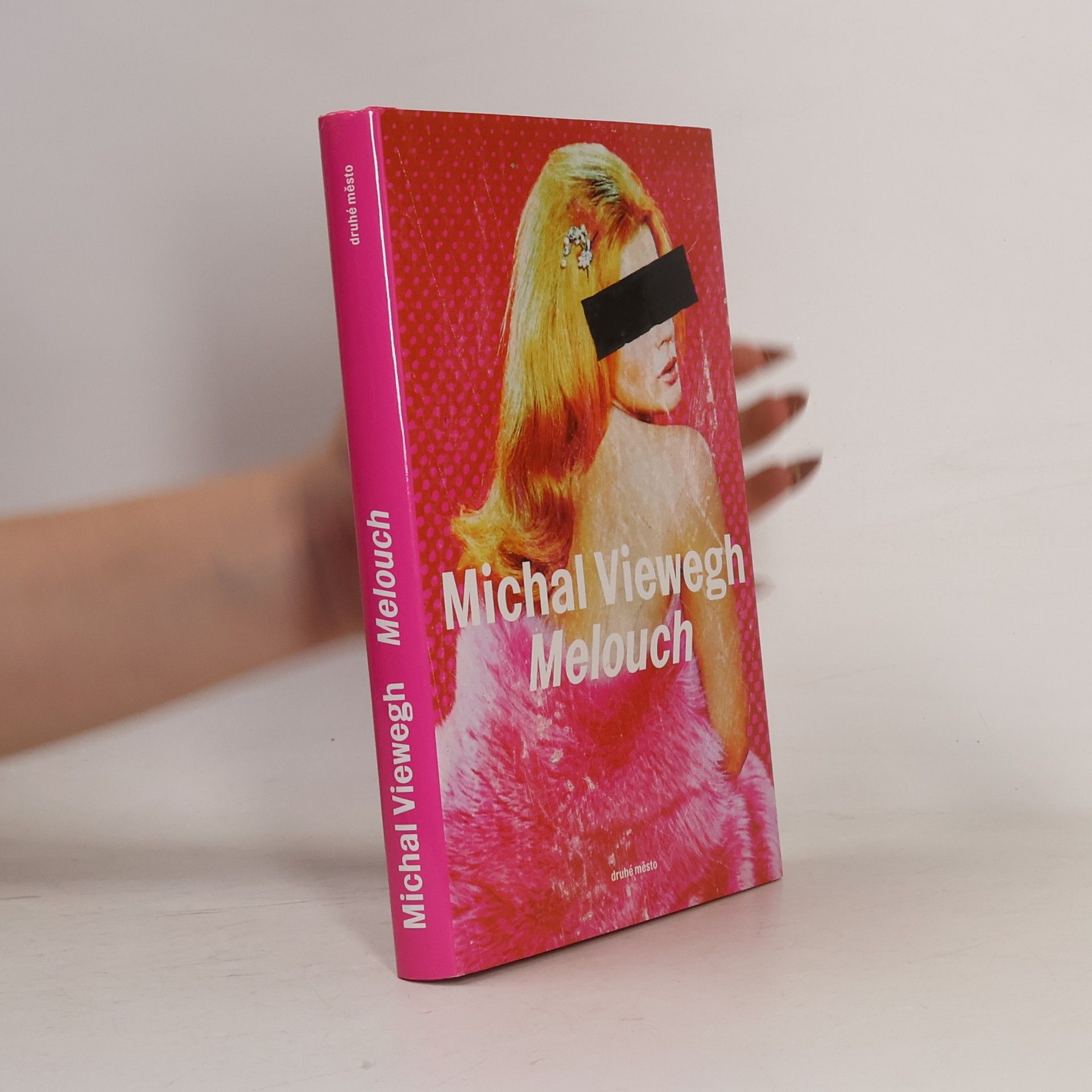 Michal Viewegh Melouch