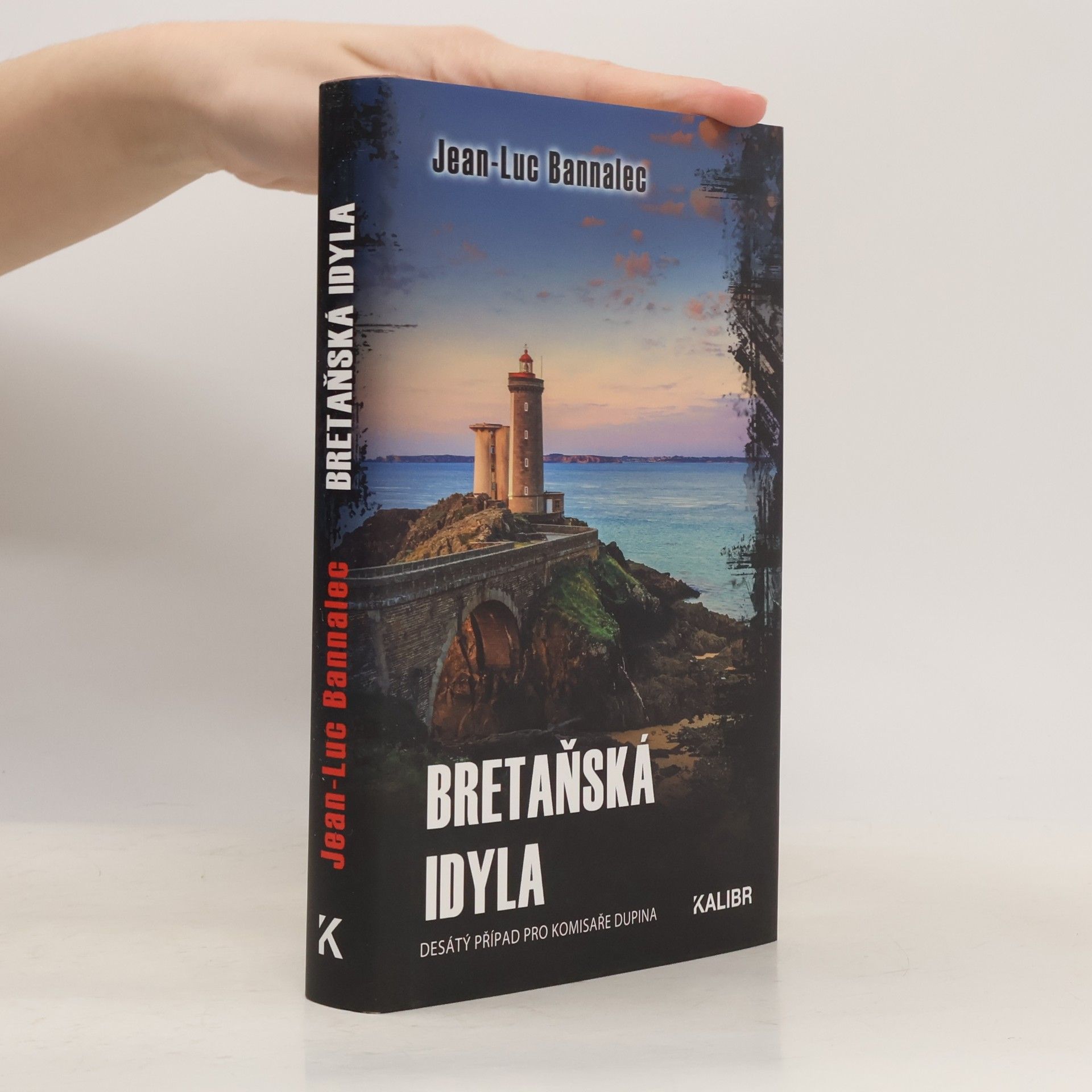 Jörg Bong Bretaňská idyla : desátý případ pro komisaře Dupina