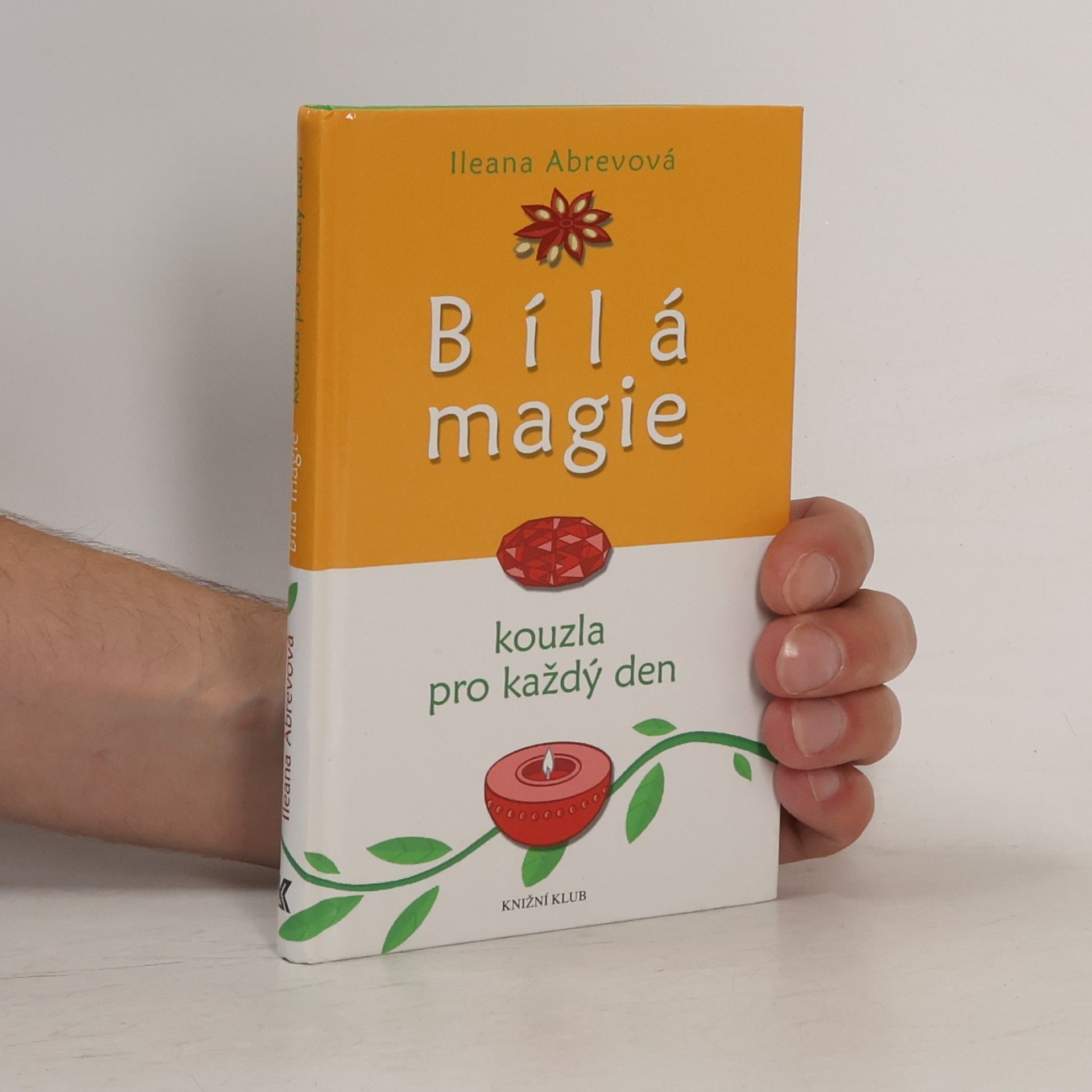 Bílá magie : kouzla pro každý den