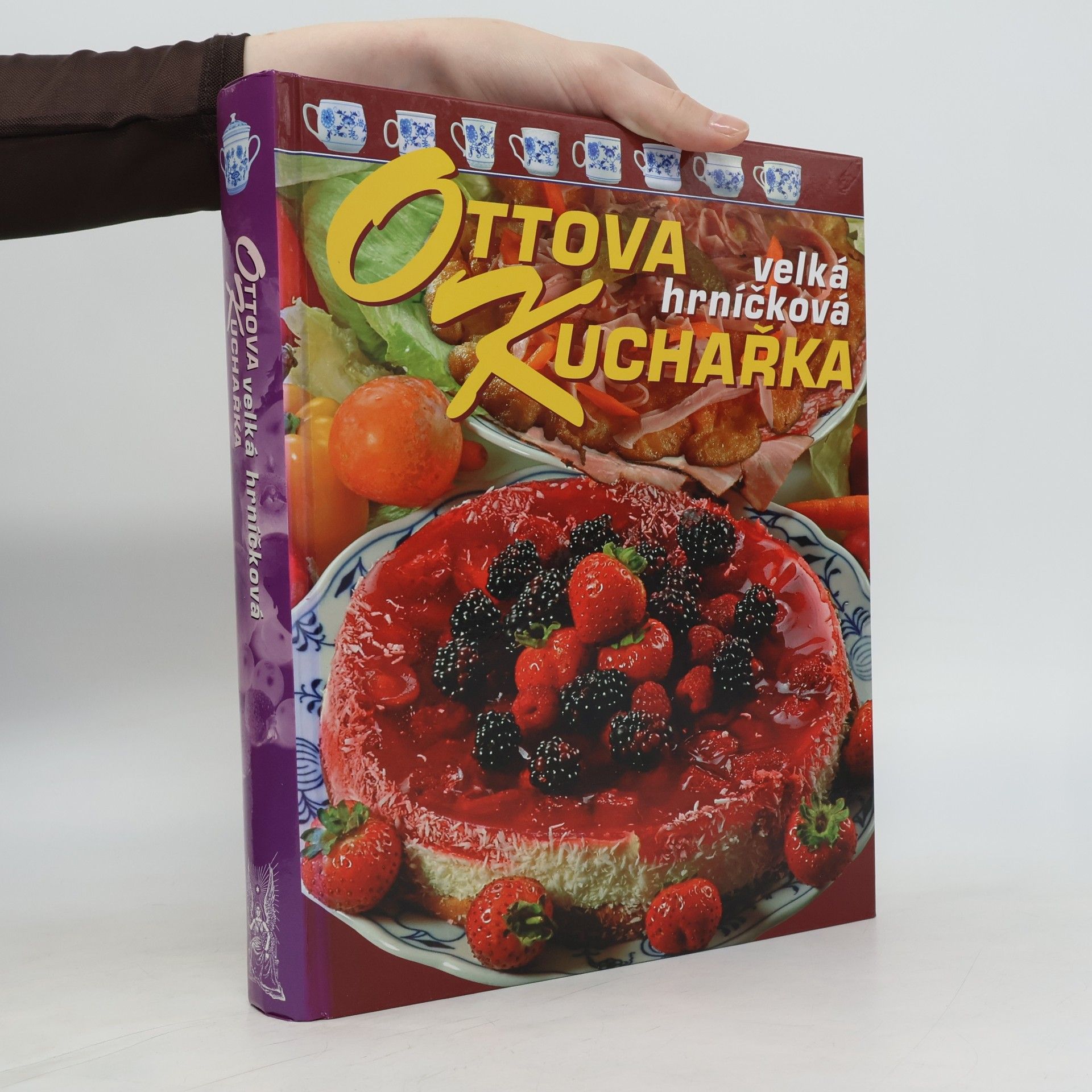 Jaroslav Vašák Ottova velká hrníčková kuchařka