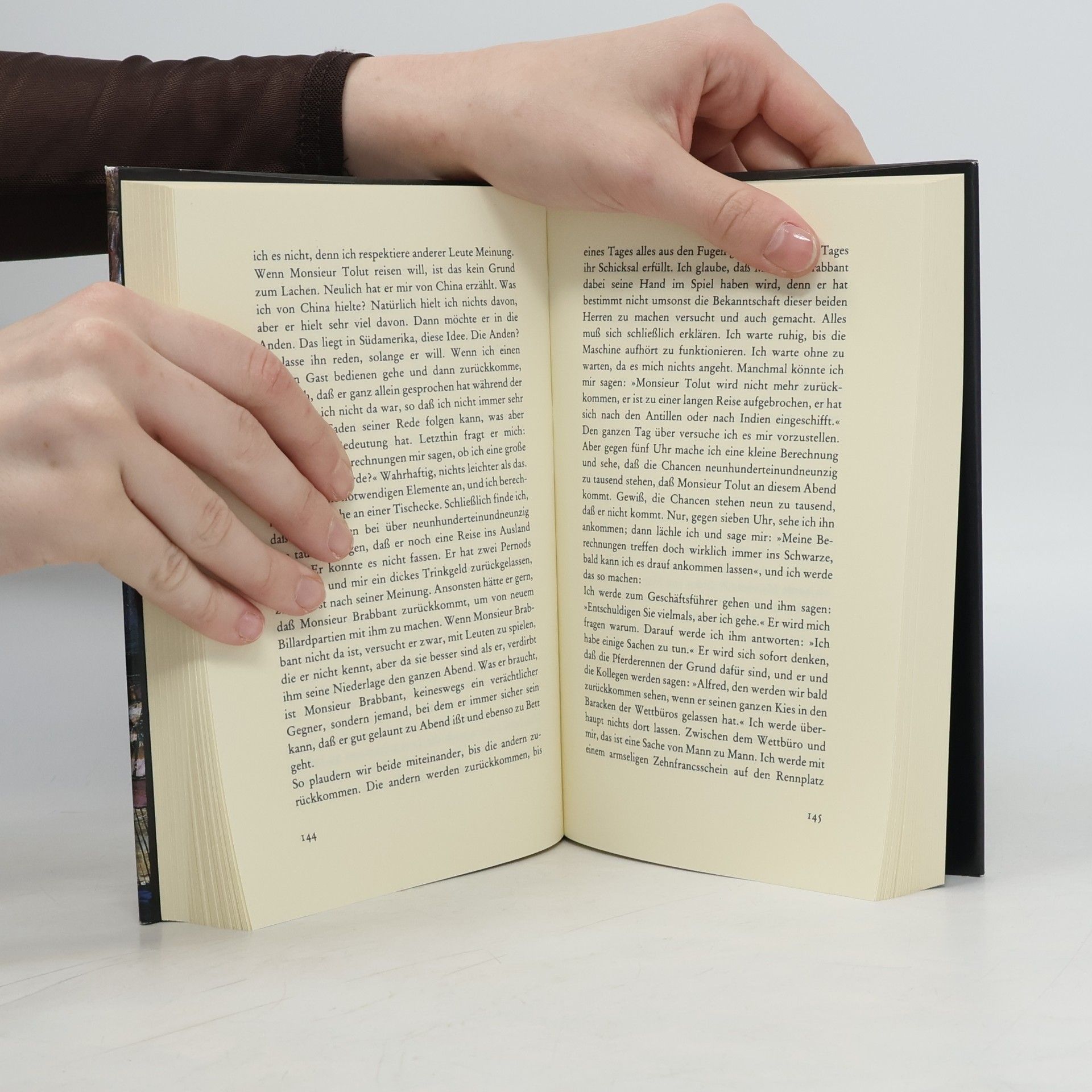 Raymond Queneau Die kleinen Geschäfte des Monsieur Brabbant